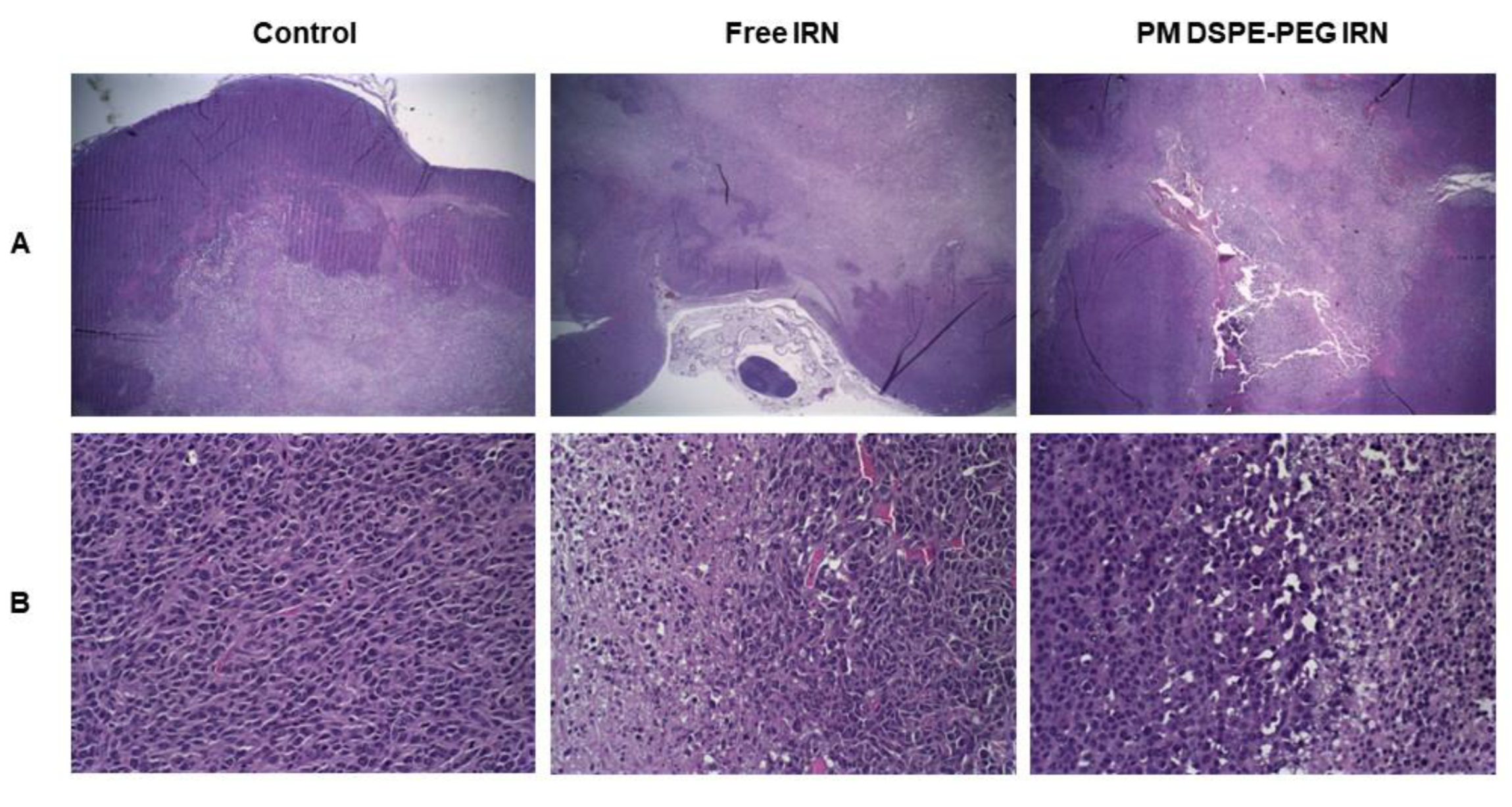 Polymers 14 04905 g006 Polymers 14 04905 g006