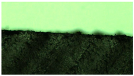 Polymers 14 04915 i001