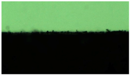 Polymers 14 04915 i003