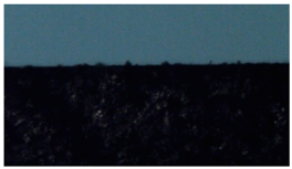 Polymers 14 04915 i004