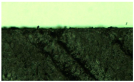 Polymers 14 04915 i005