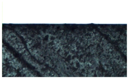 Polymers 14 04915 i006