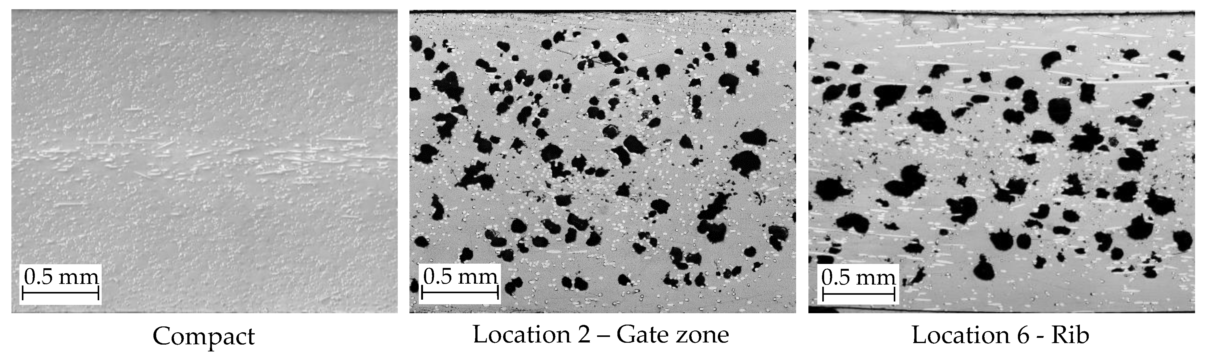 Polymers 14 04916 g005