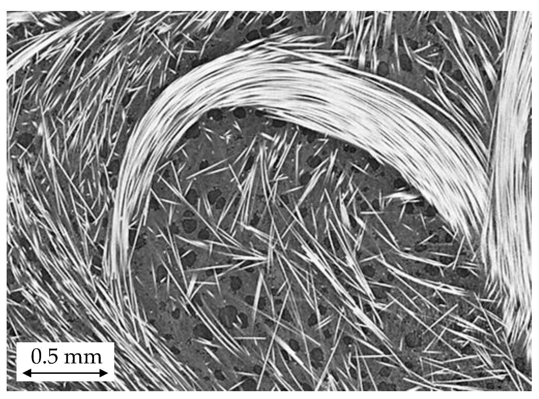 Polymers 14 04916 g010