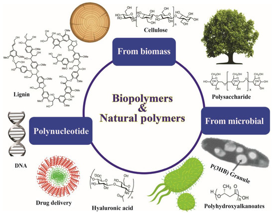 Polymers 14 04924 g002