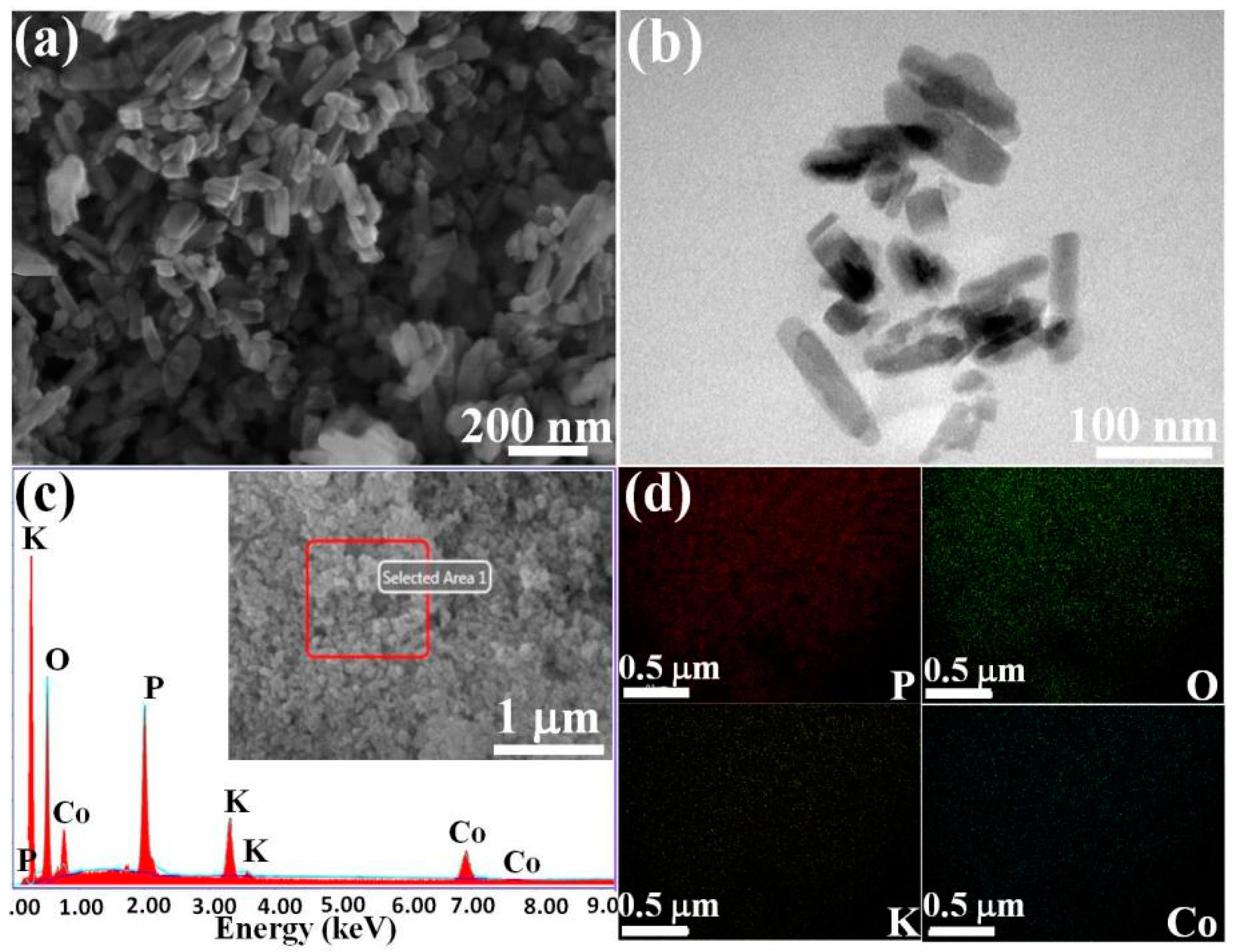 Polymers 14 04927 g002