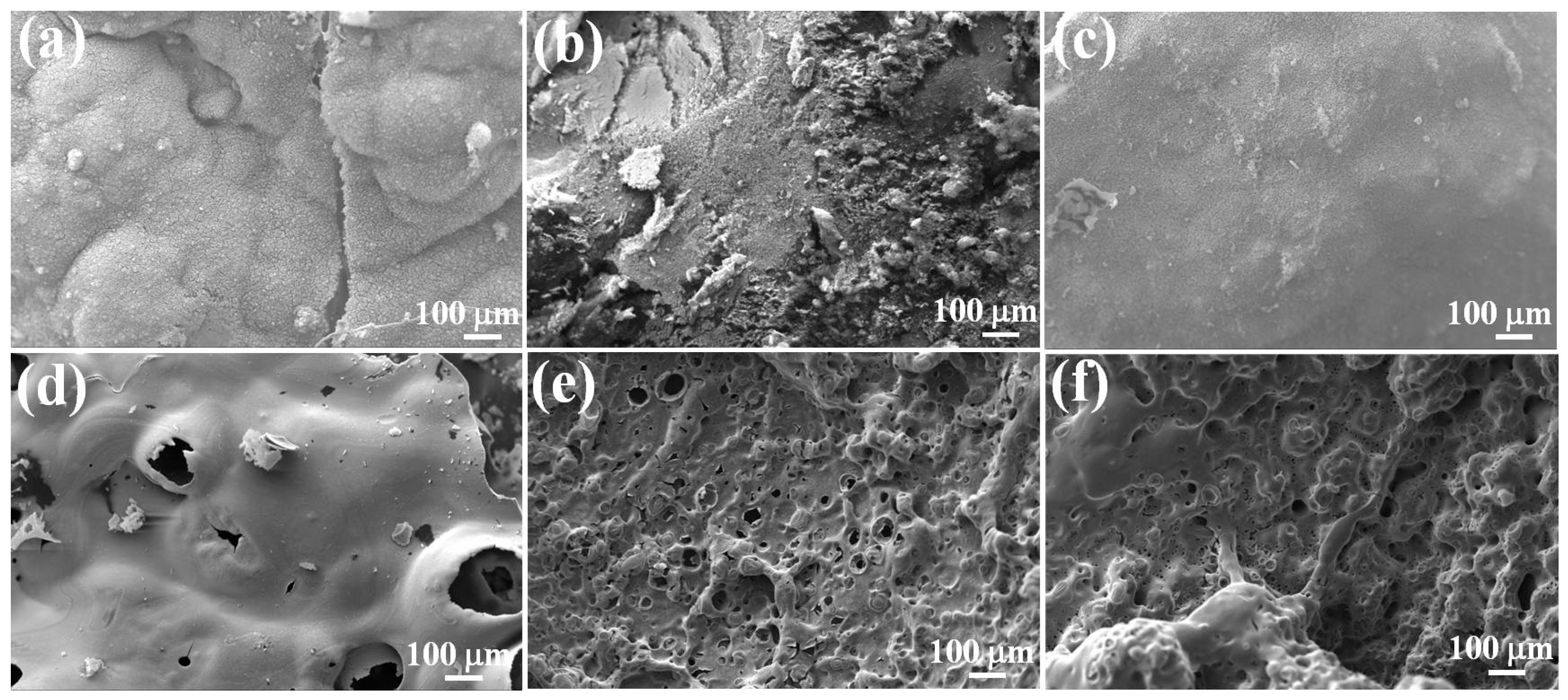Polymers 14 04927 g007