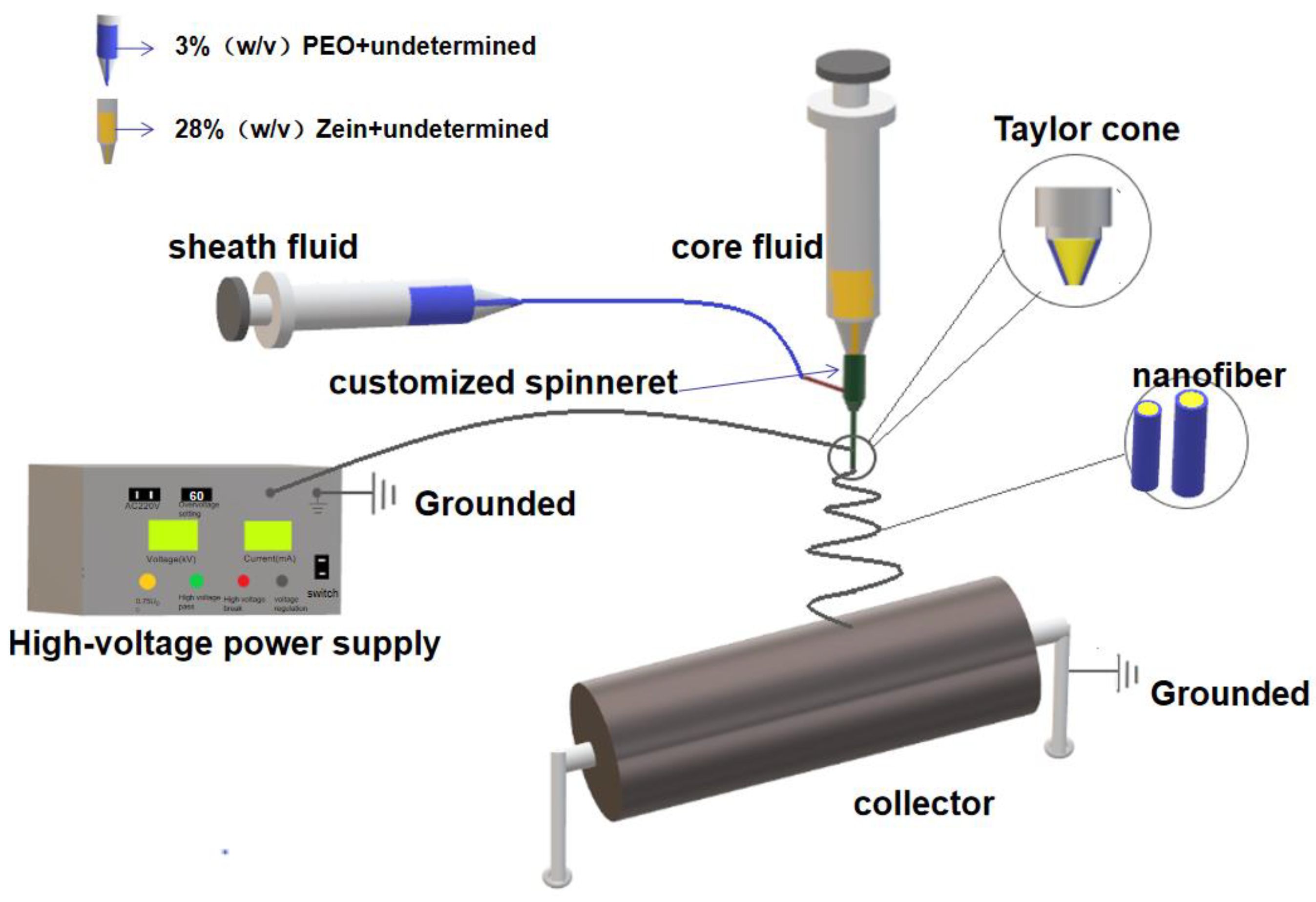 Polymers 14 04947 g001