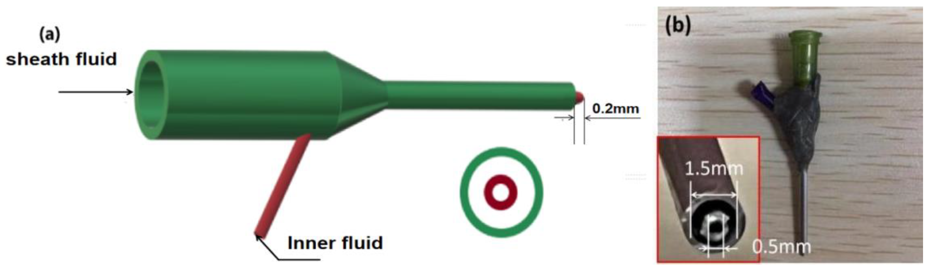 Polymers 14 04947 g002