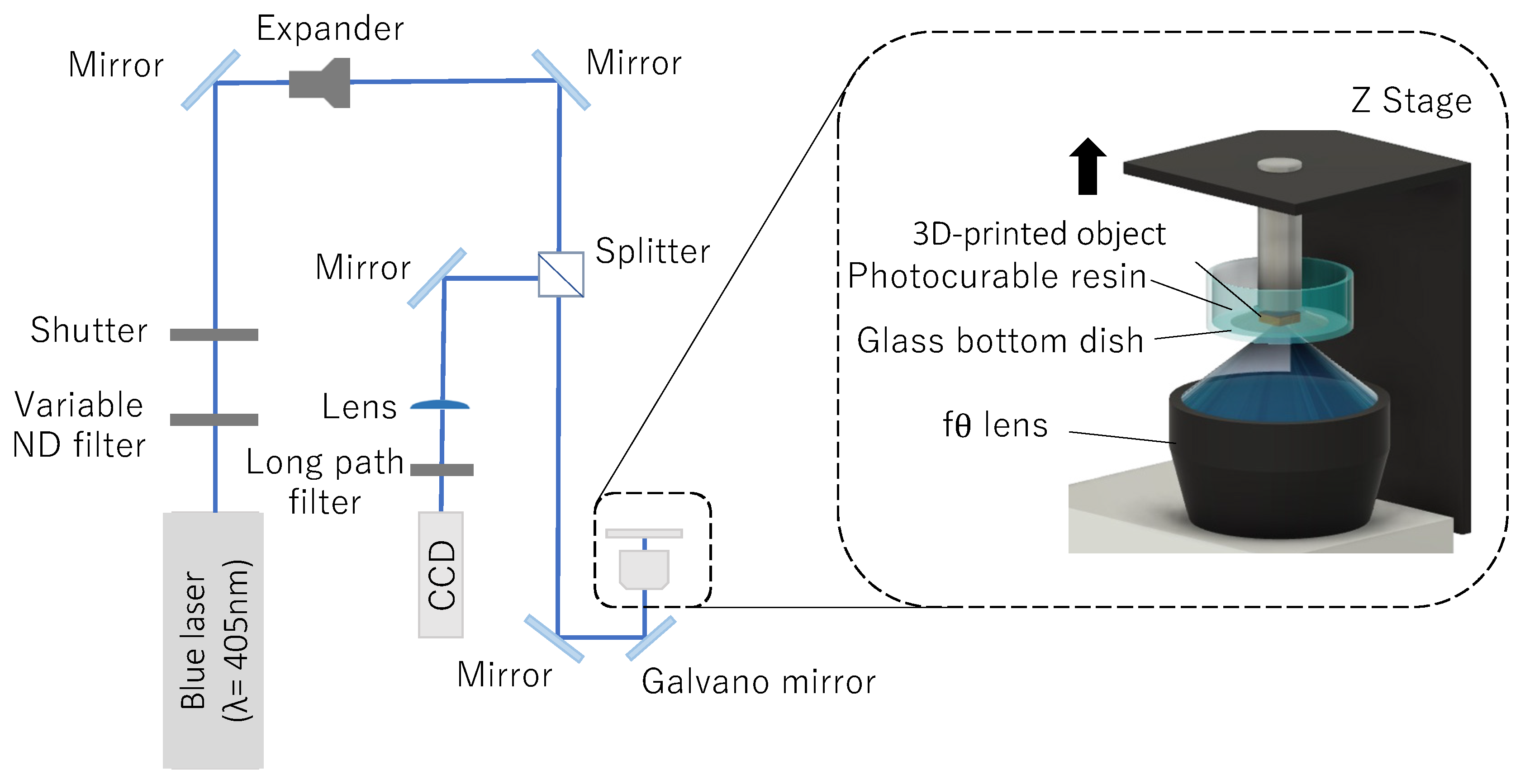 Polymers 14 04949 g002