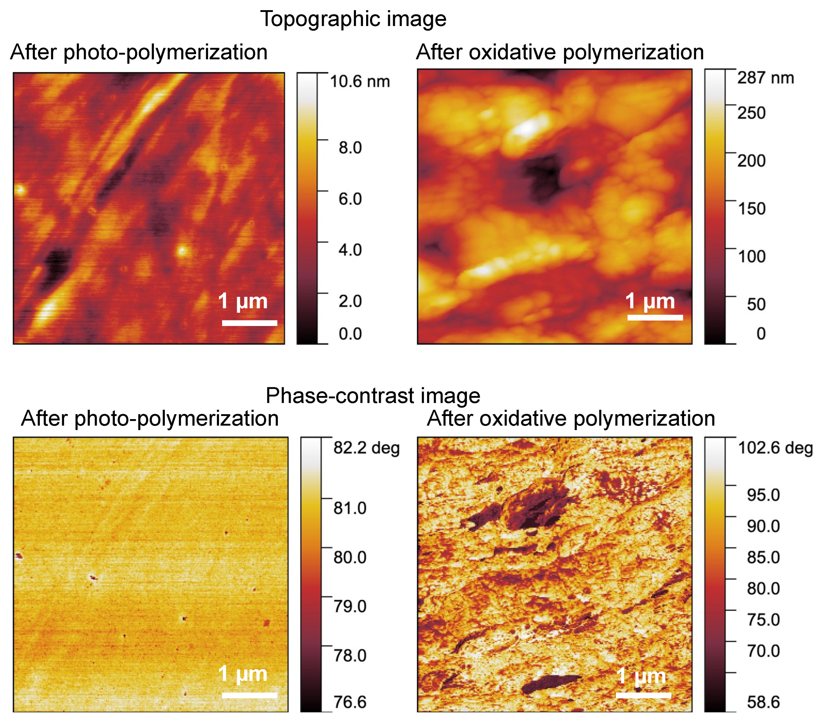 Polymers 14 04949 g006