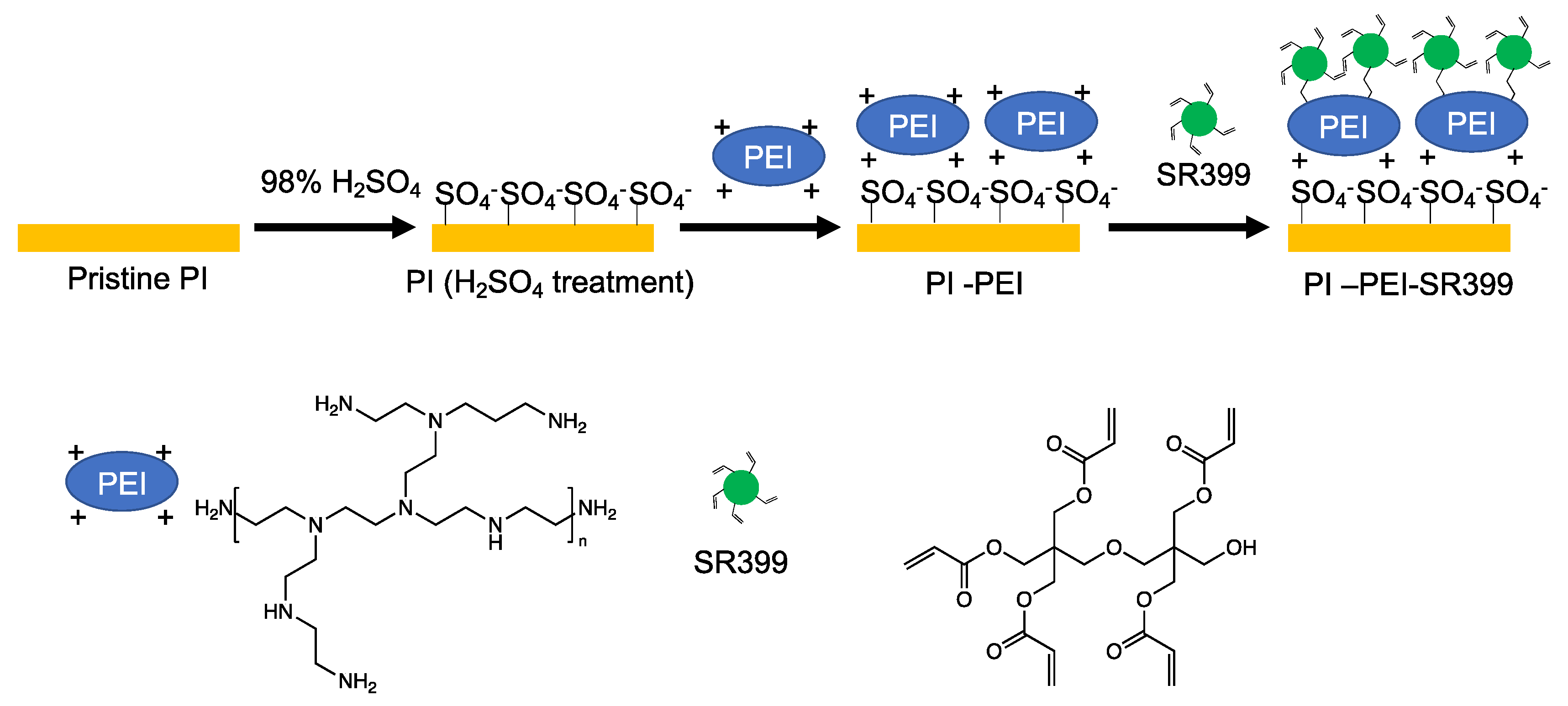 Polymers 14 04949 g009