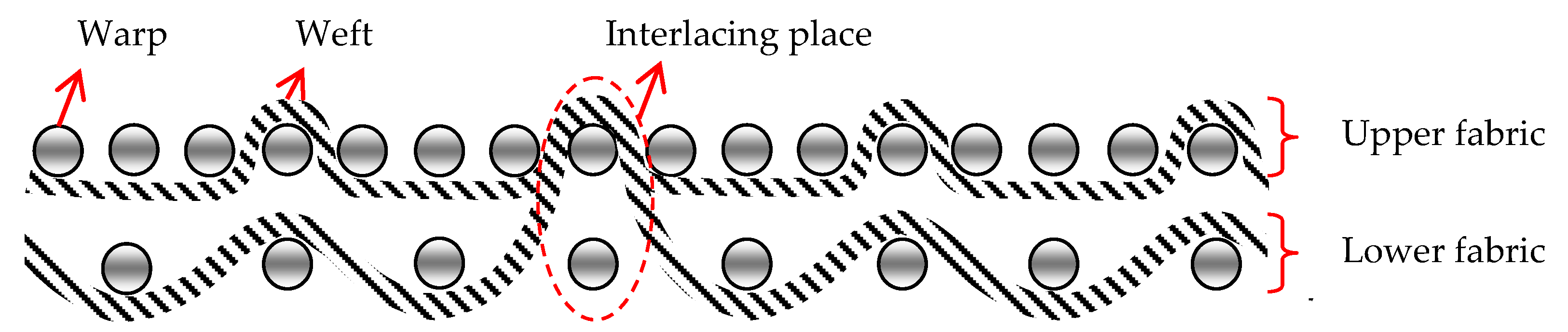 Polymers 14 04952 g002