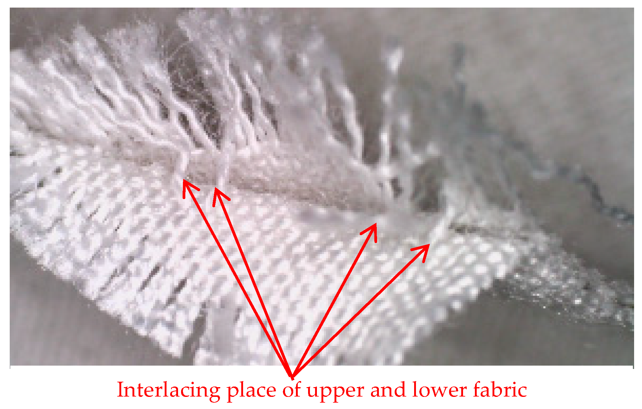 Polymers 14 04952 g003