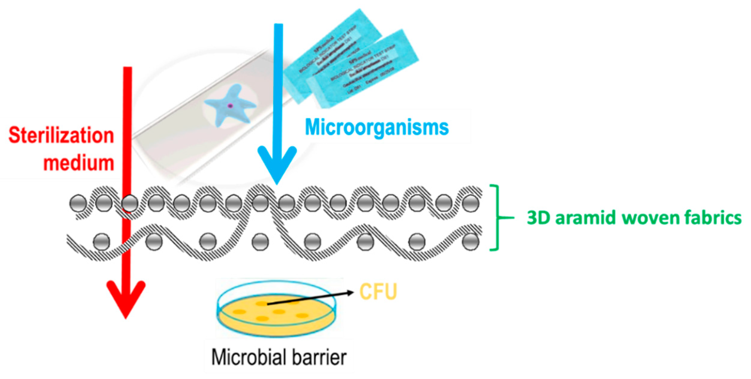 Polymers 14 04952 g005
