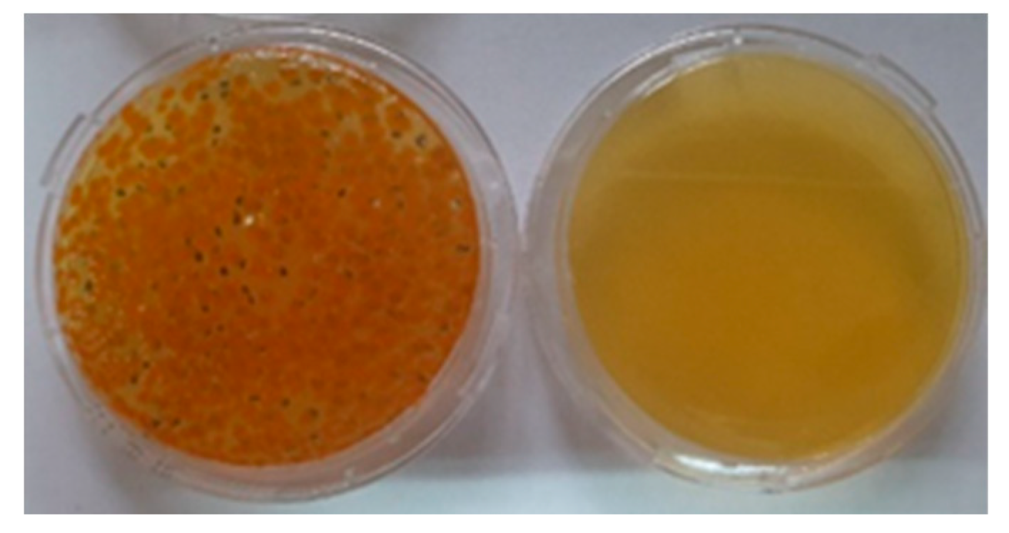 Polymers 14 04952 g009