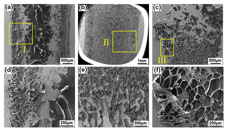 Polymers 14 04956 g006