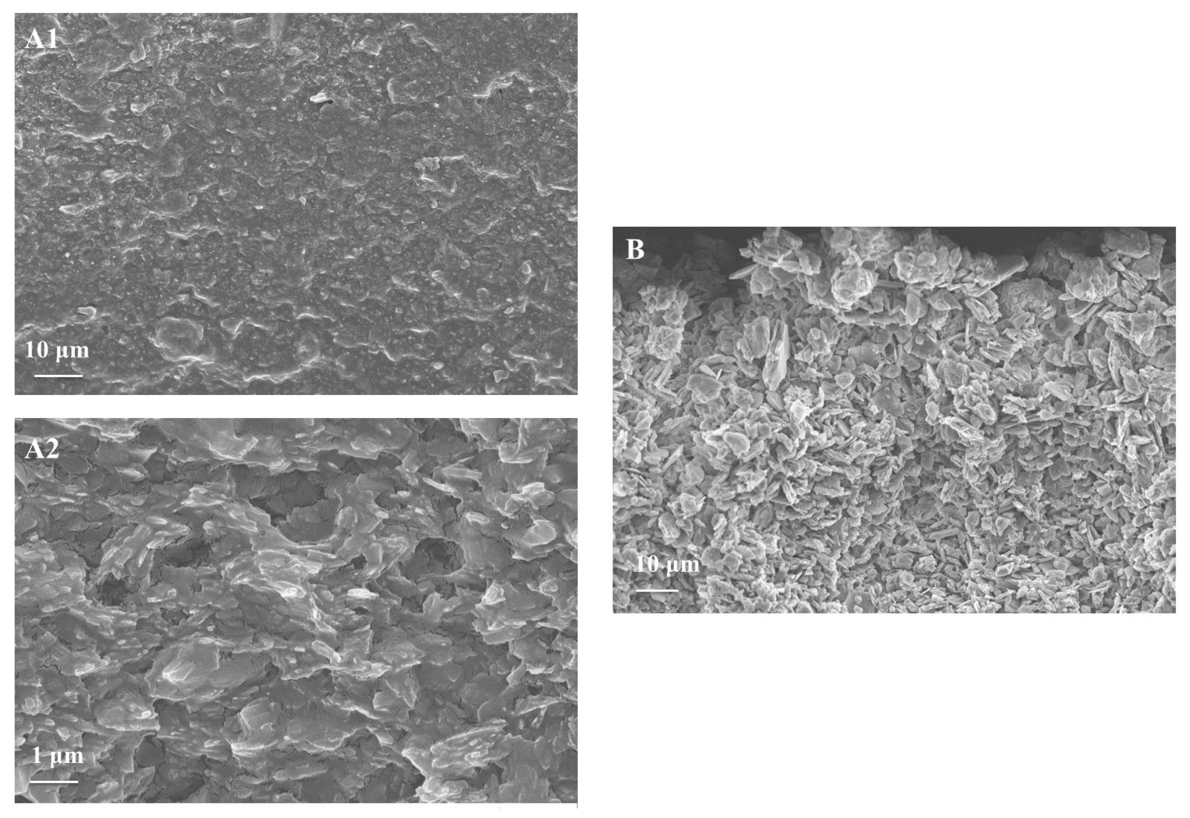 Polymers 14 04959 g003
