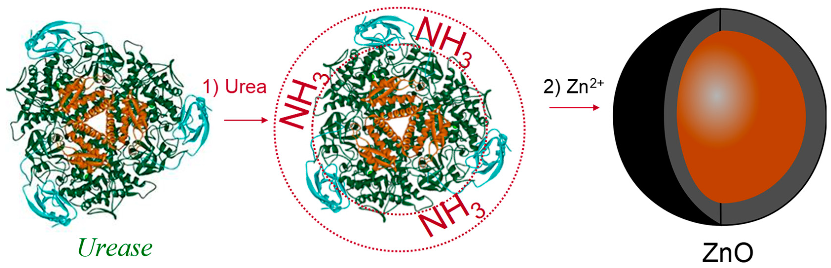 Polymers 14 04961 g003