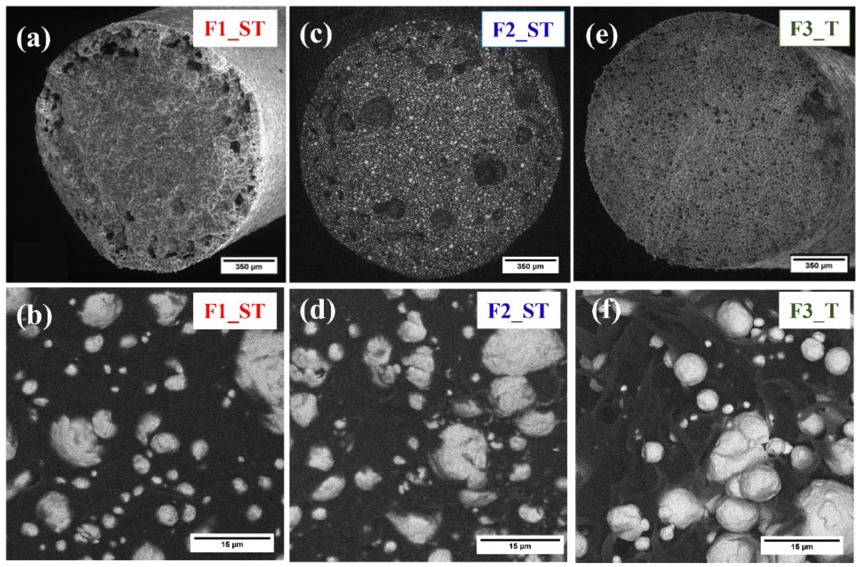 Polymers 14 04962 g004