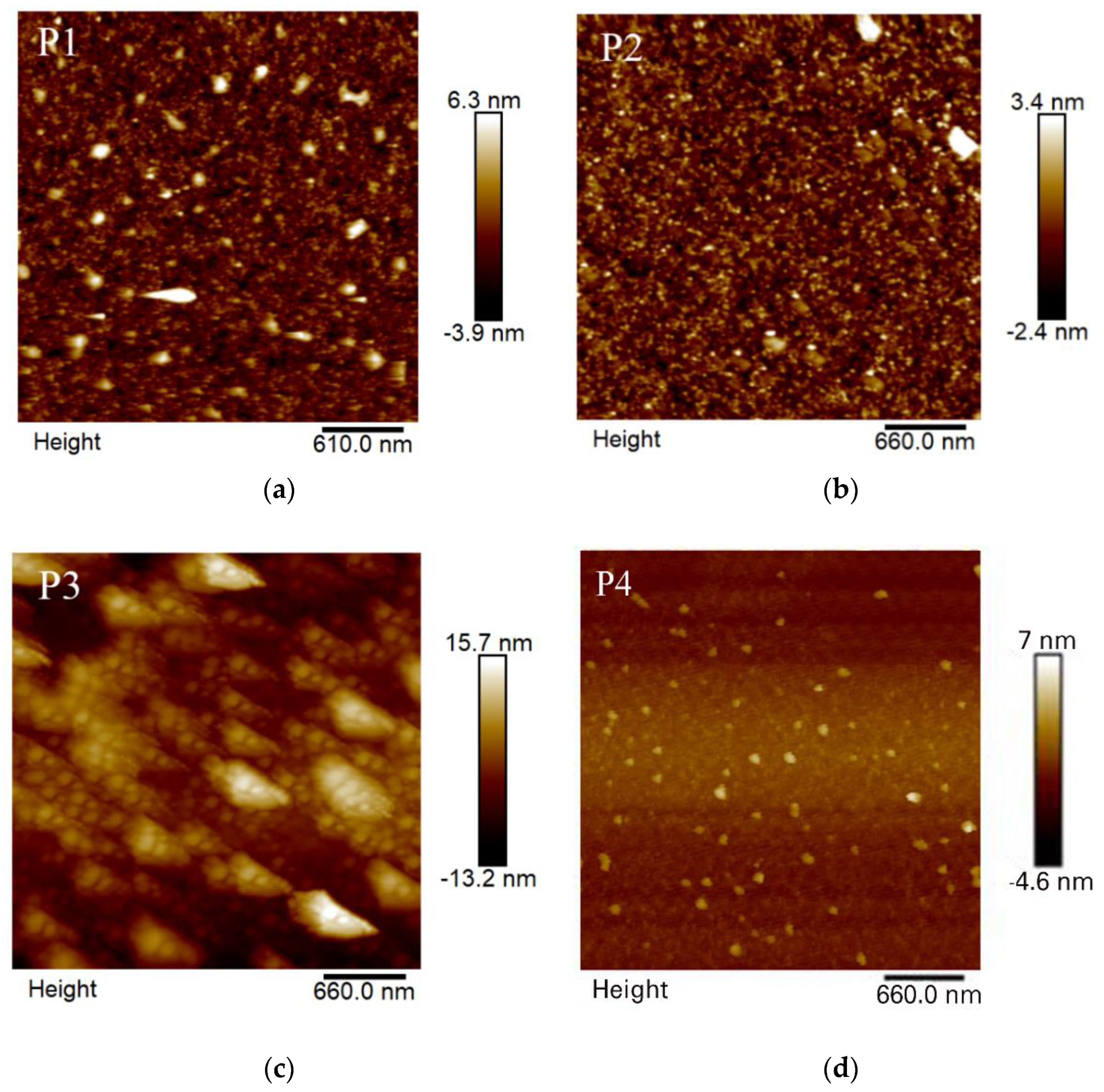 Polymers 14 04965 g003 Polymers 14 04965 g003