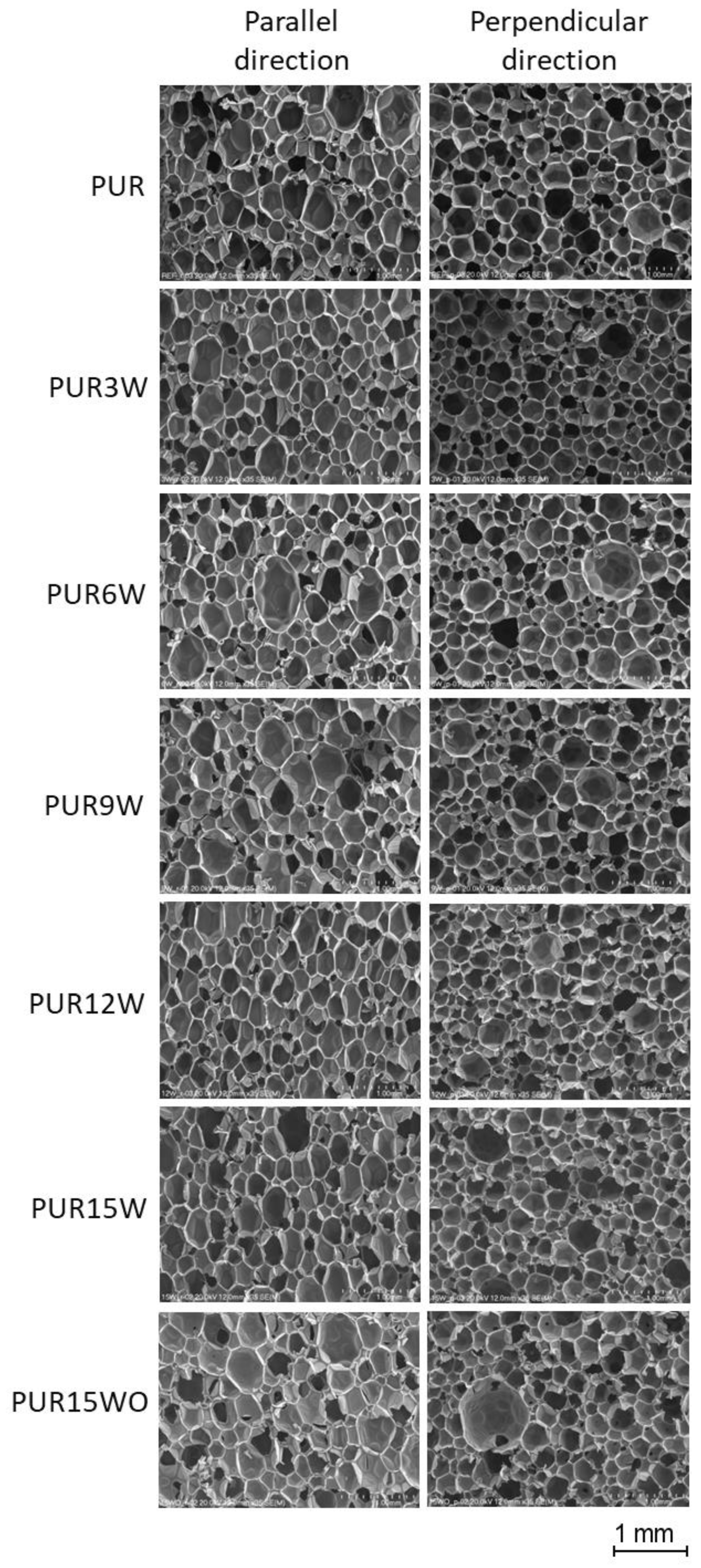 Polymers 14 04967 g006