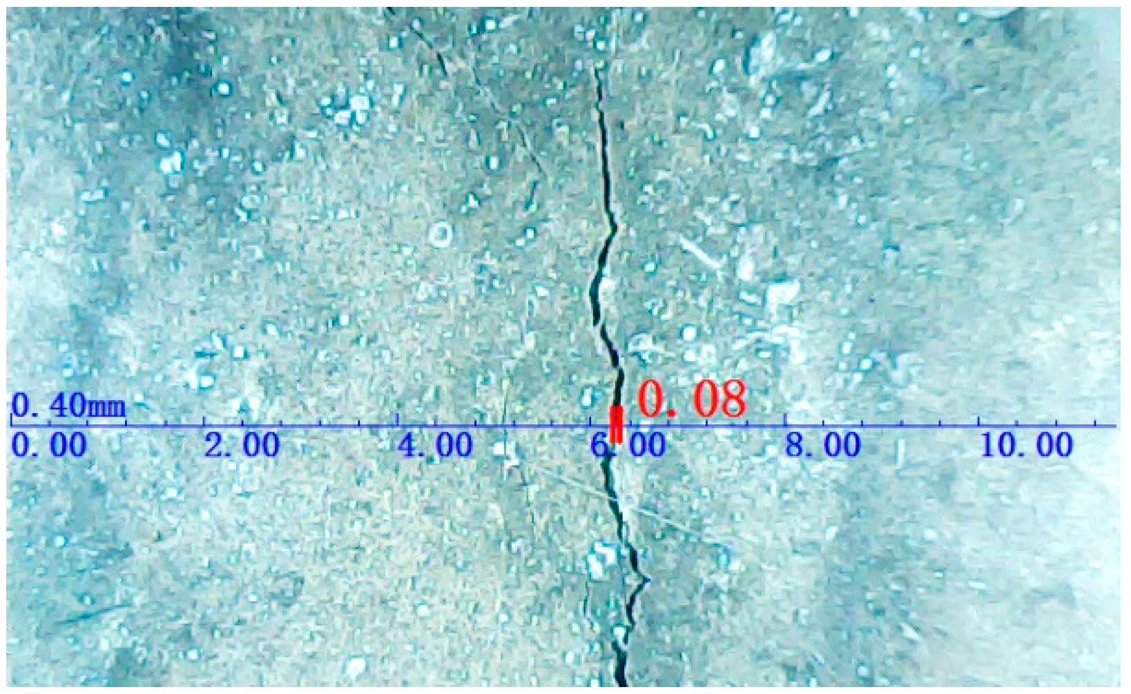 Polymers 14 04969 g007