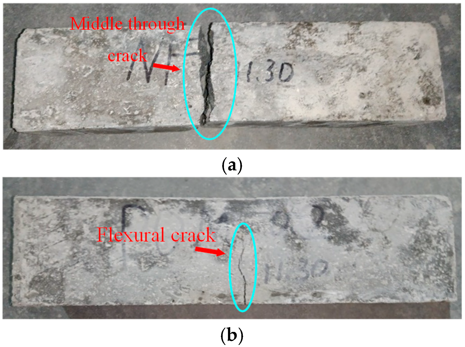 Polymers 14 04969 g024a