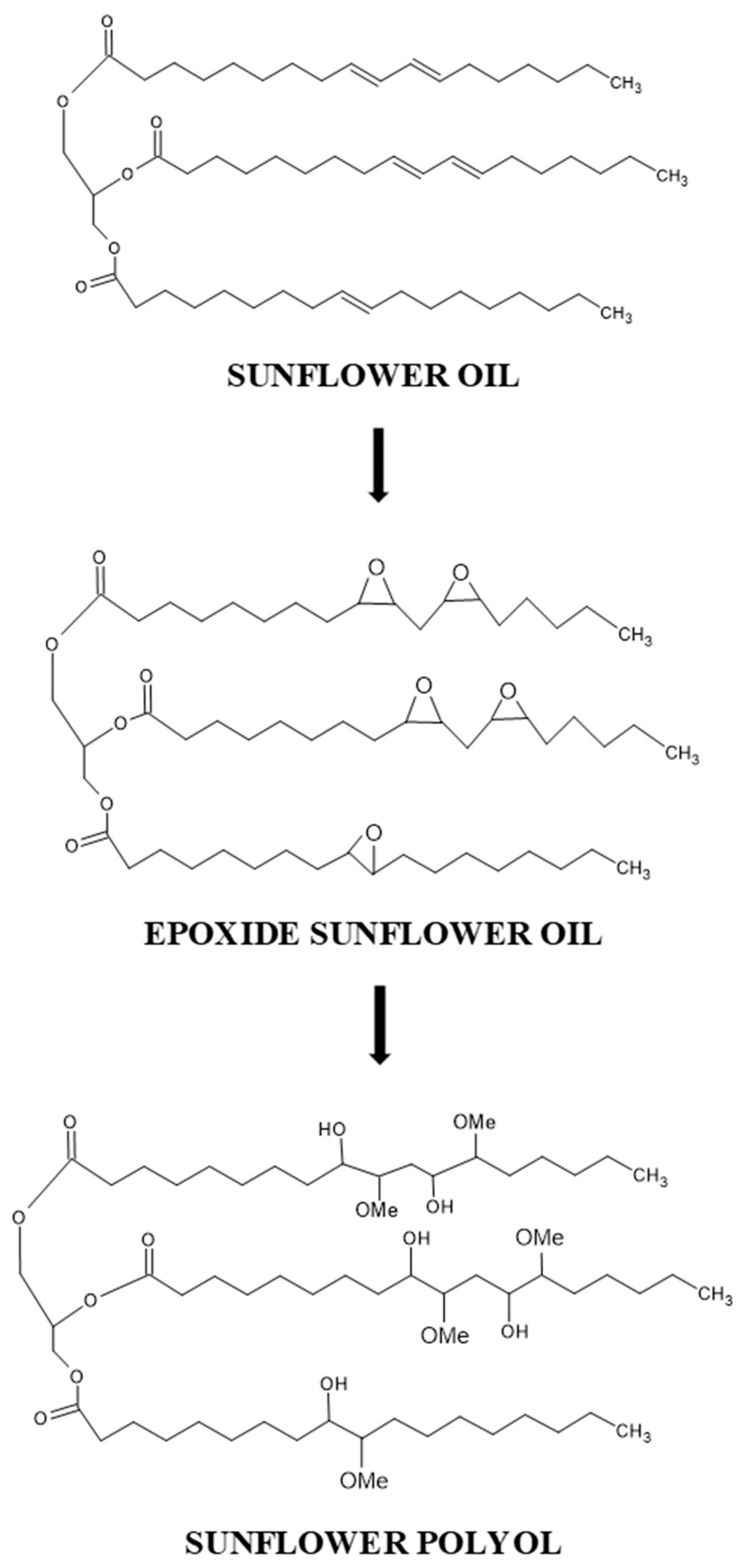 Polymers 14 04974 sch001