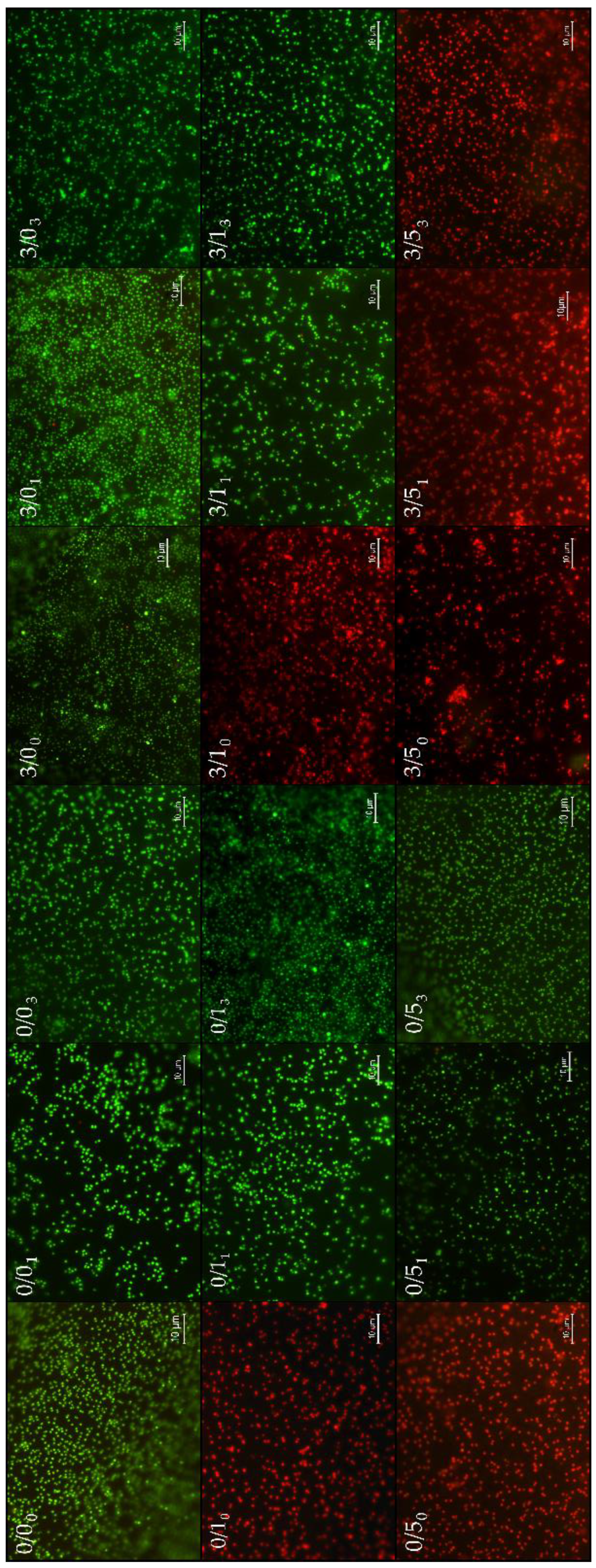 Polymers 14 04976 g005 Polymers 14 04976 g005
