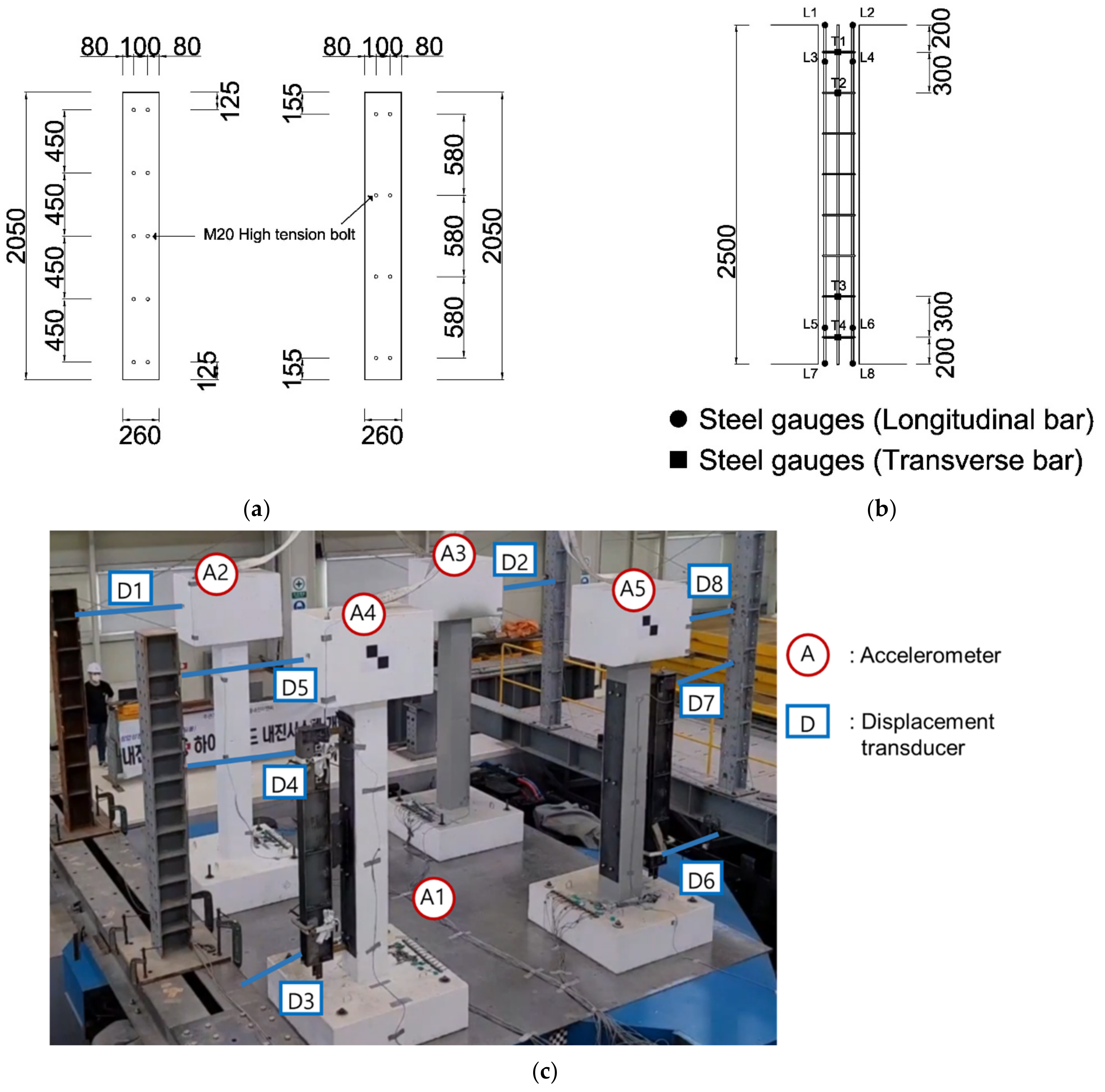Polymers 14 04979 g010