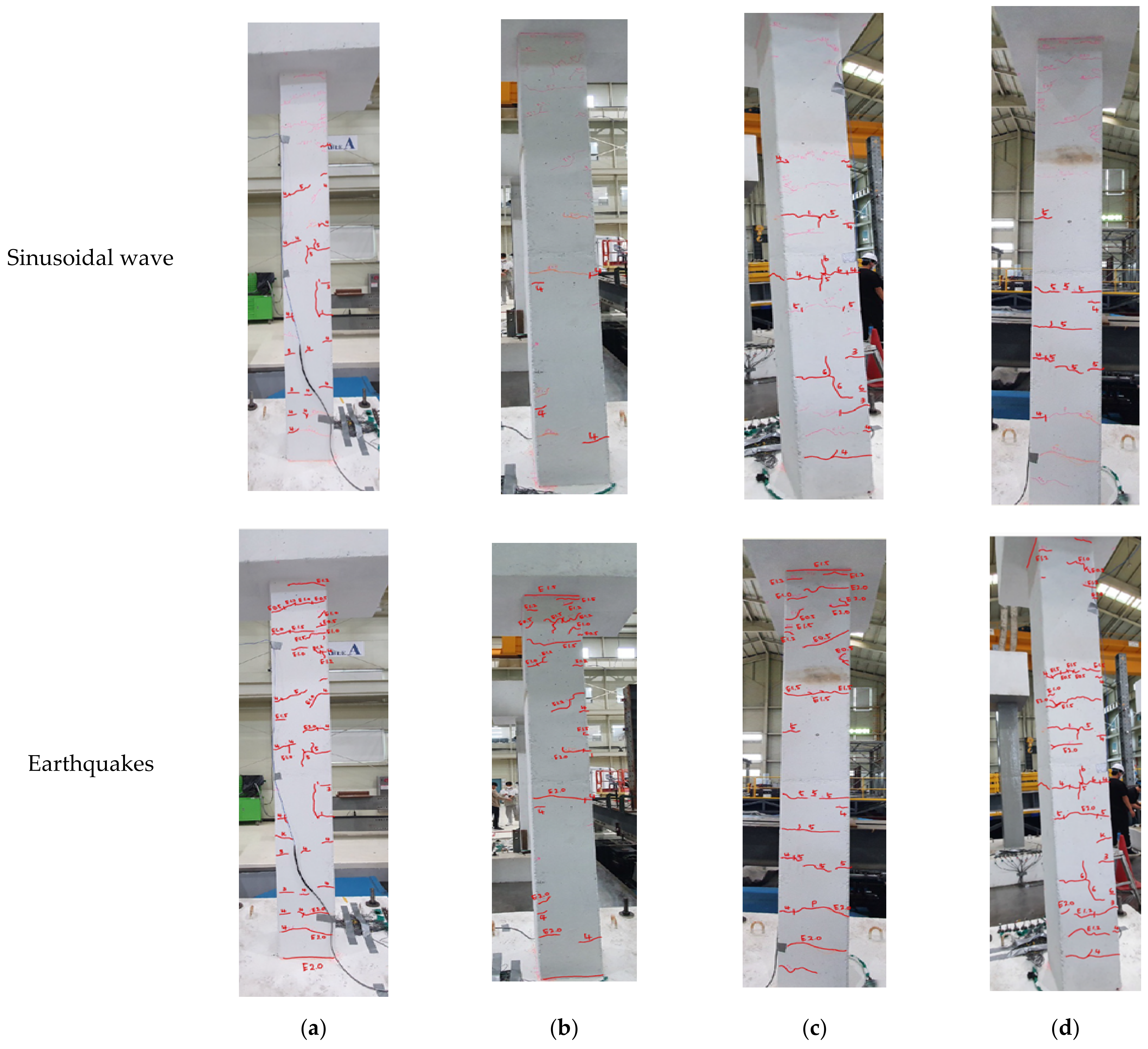 Polymers 14 04979 g012