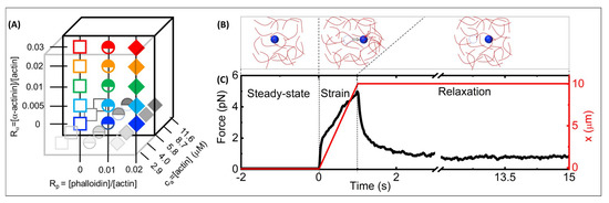 Polymers 14 04980 g001