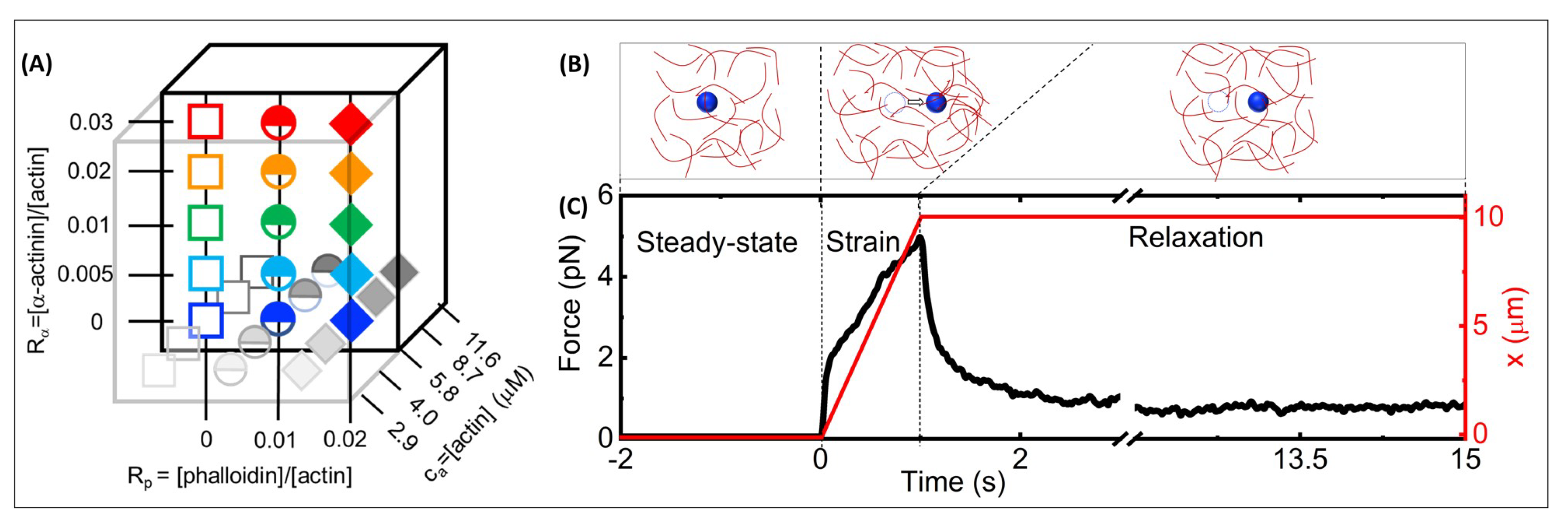 Polymers 14 04980 g001