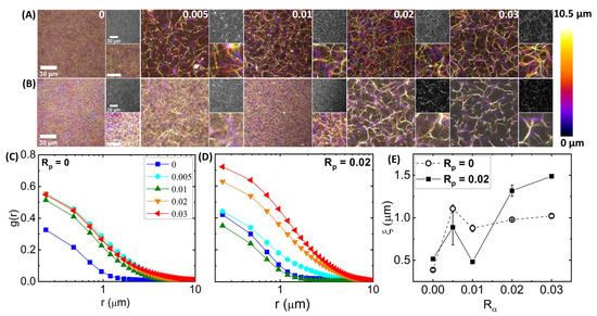 Polymers 14 04980 g002