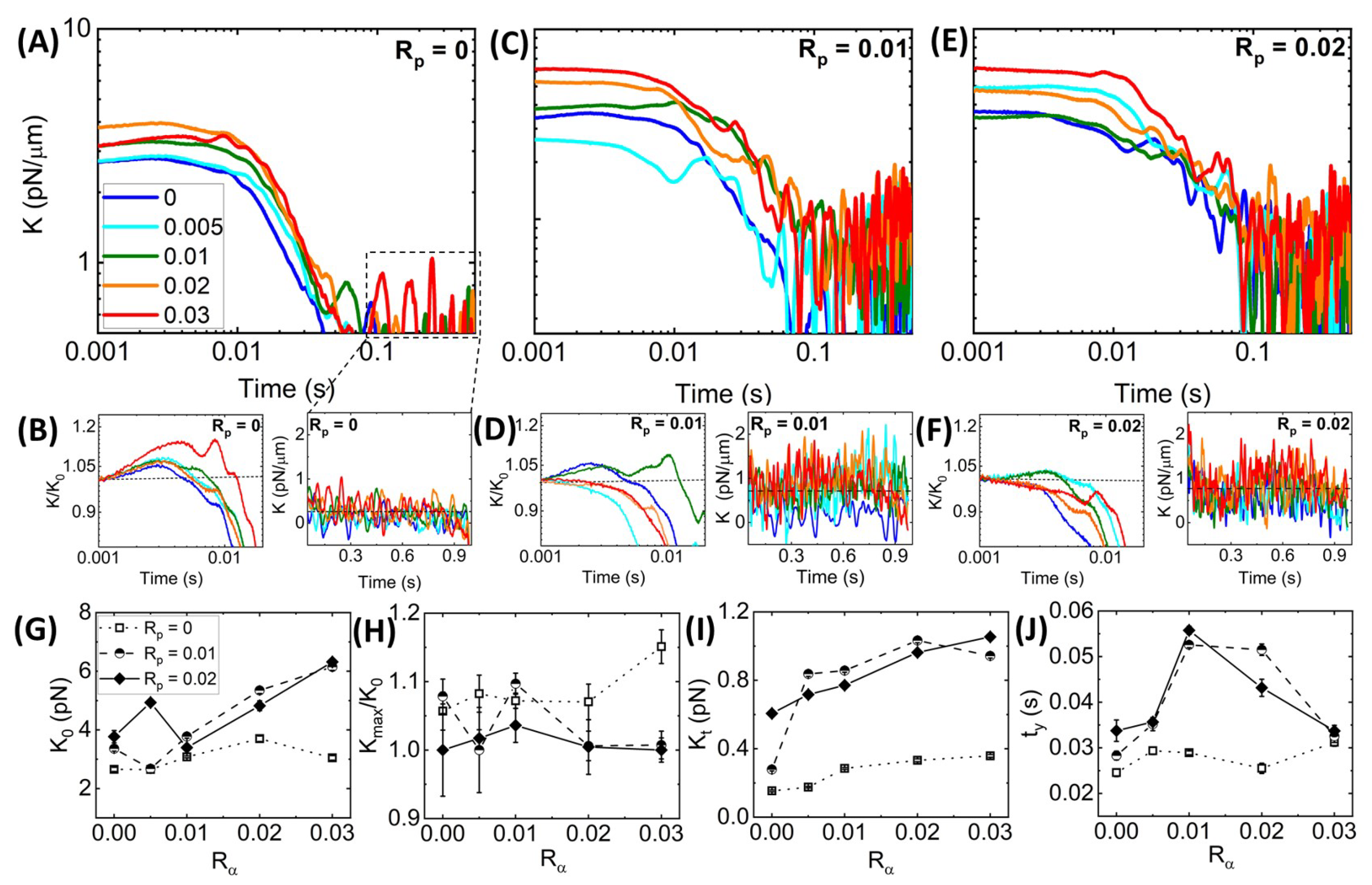Polymers 14 04980 g004