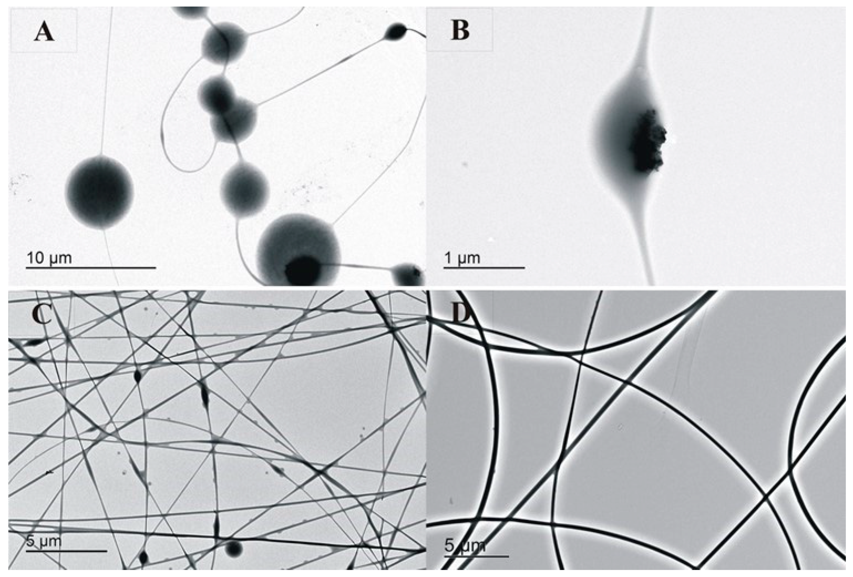 Polymers 14 04983 g001