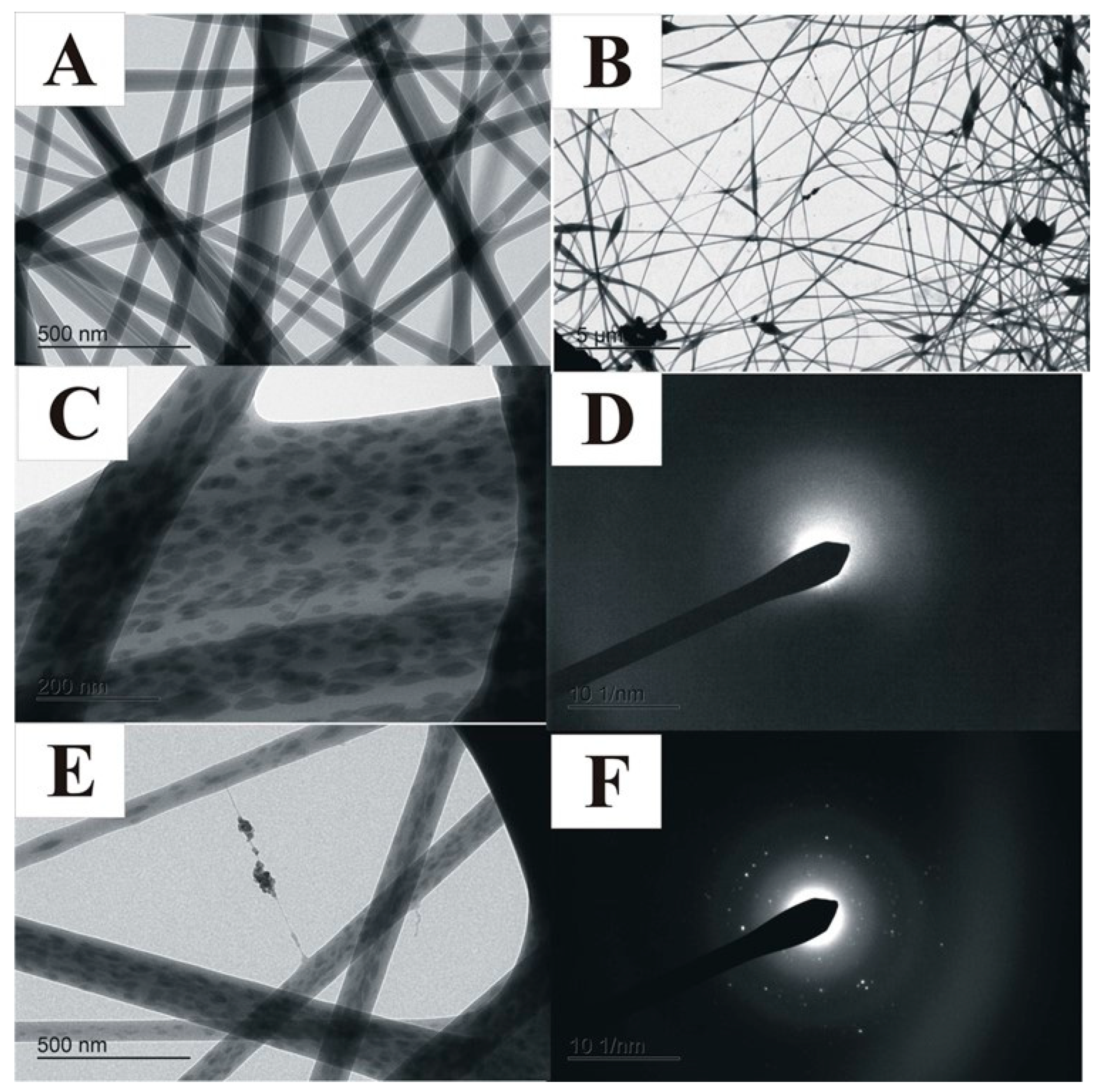 Polymers 14 04983 g002