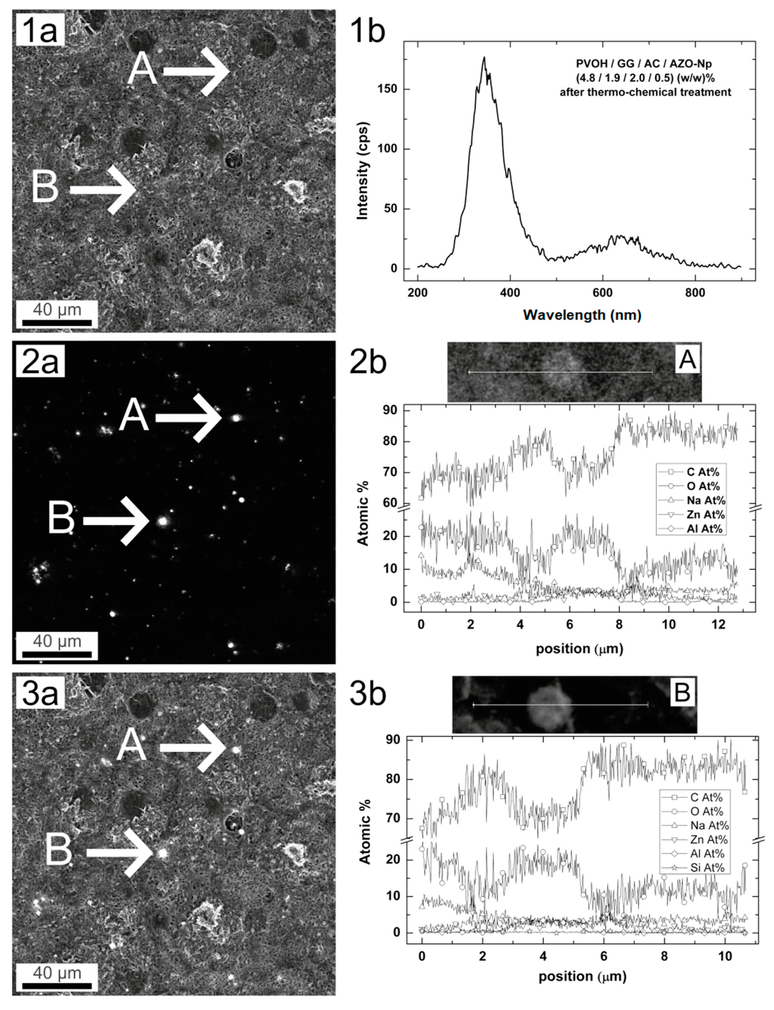 Polymers 14 04983 g005