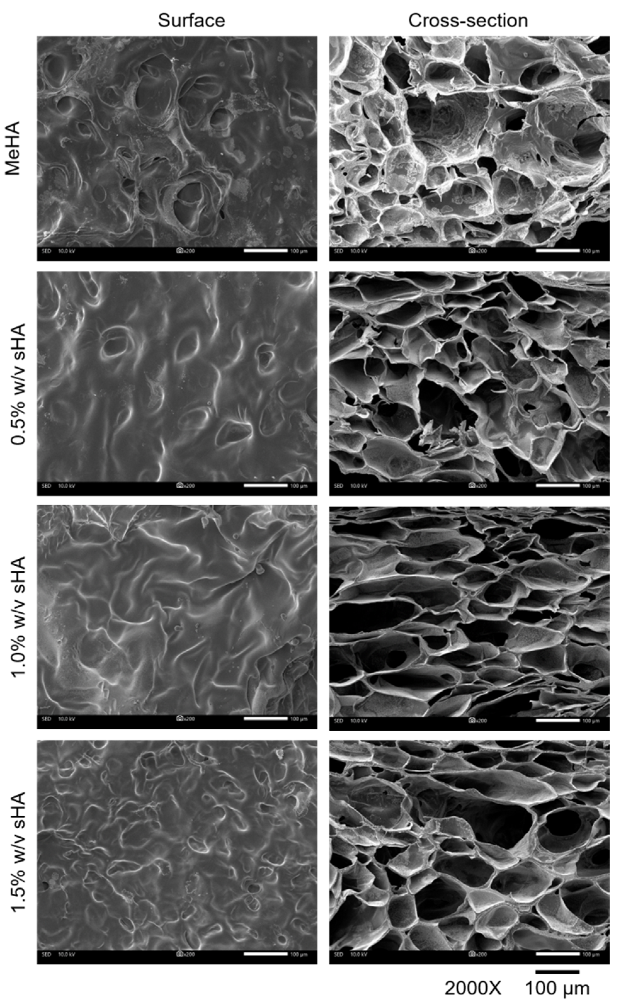 Polymers 14 04986 g004 Polymers 14 04986 g004