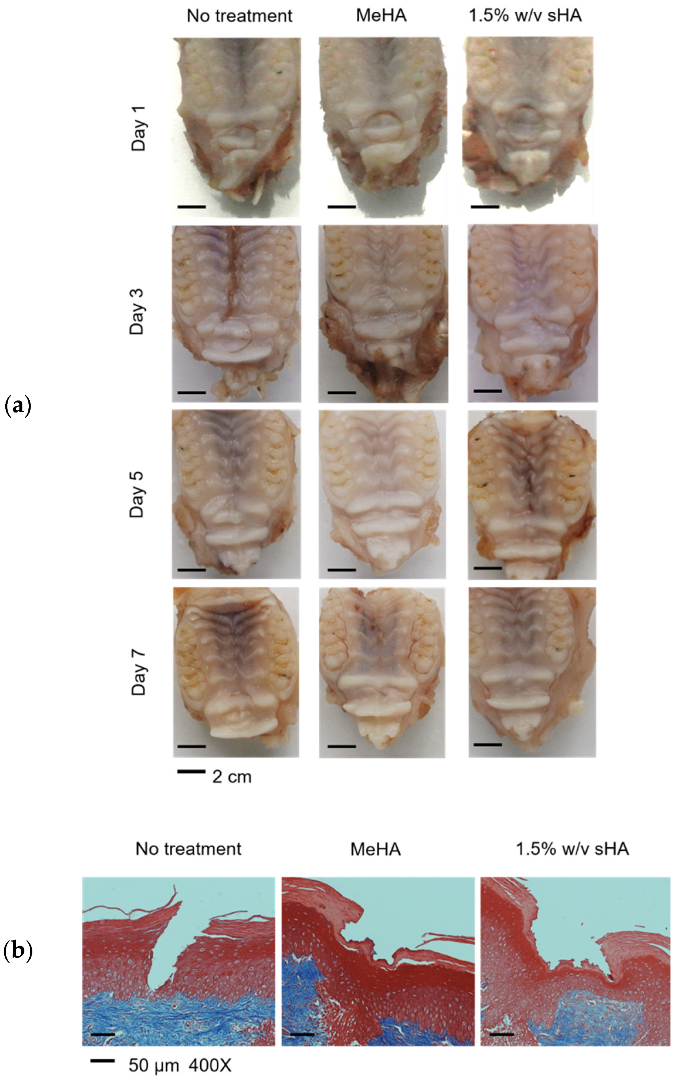 Polymers 14 04986 g006 Polymers 14 04986 g006