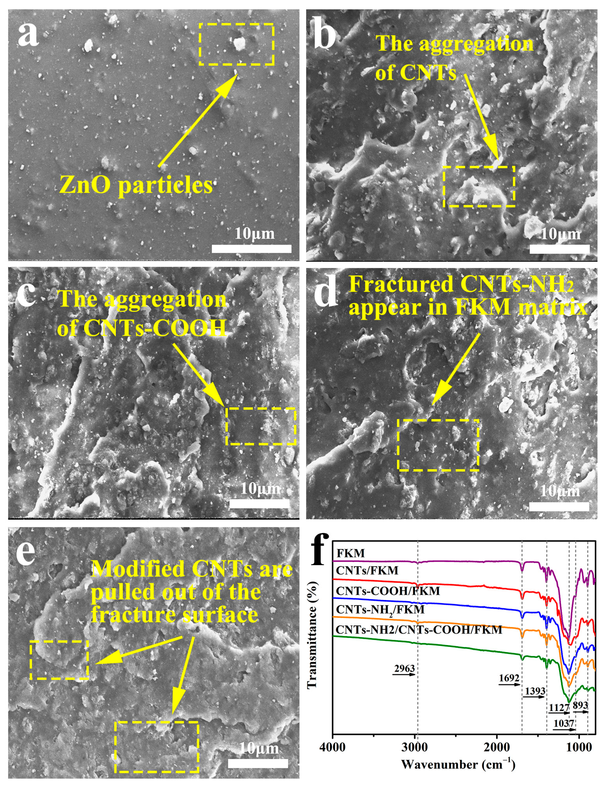 Polymers 14 04989 g003