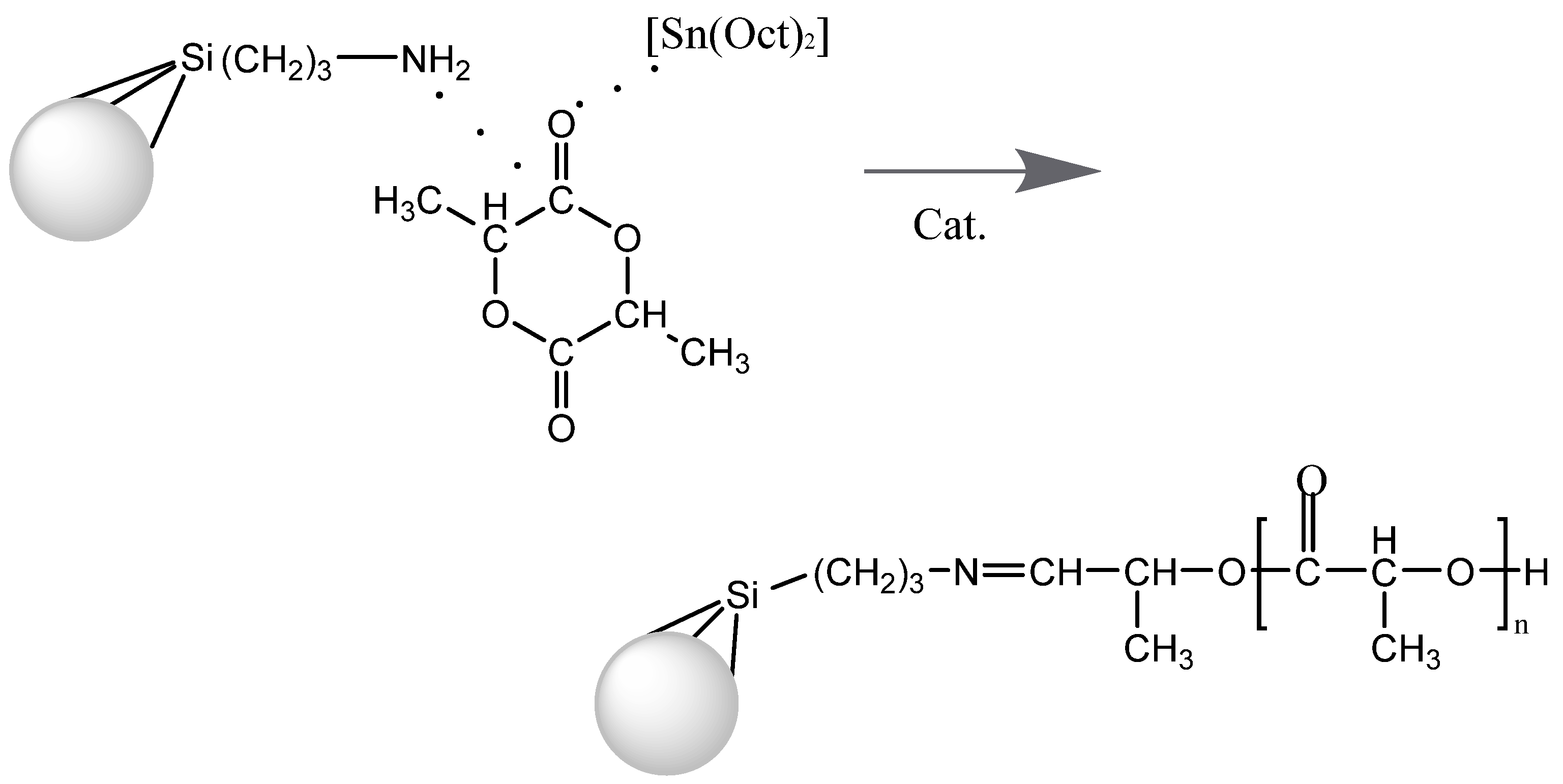 Polymers 14 04995 sch002