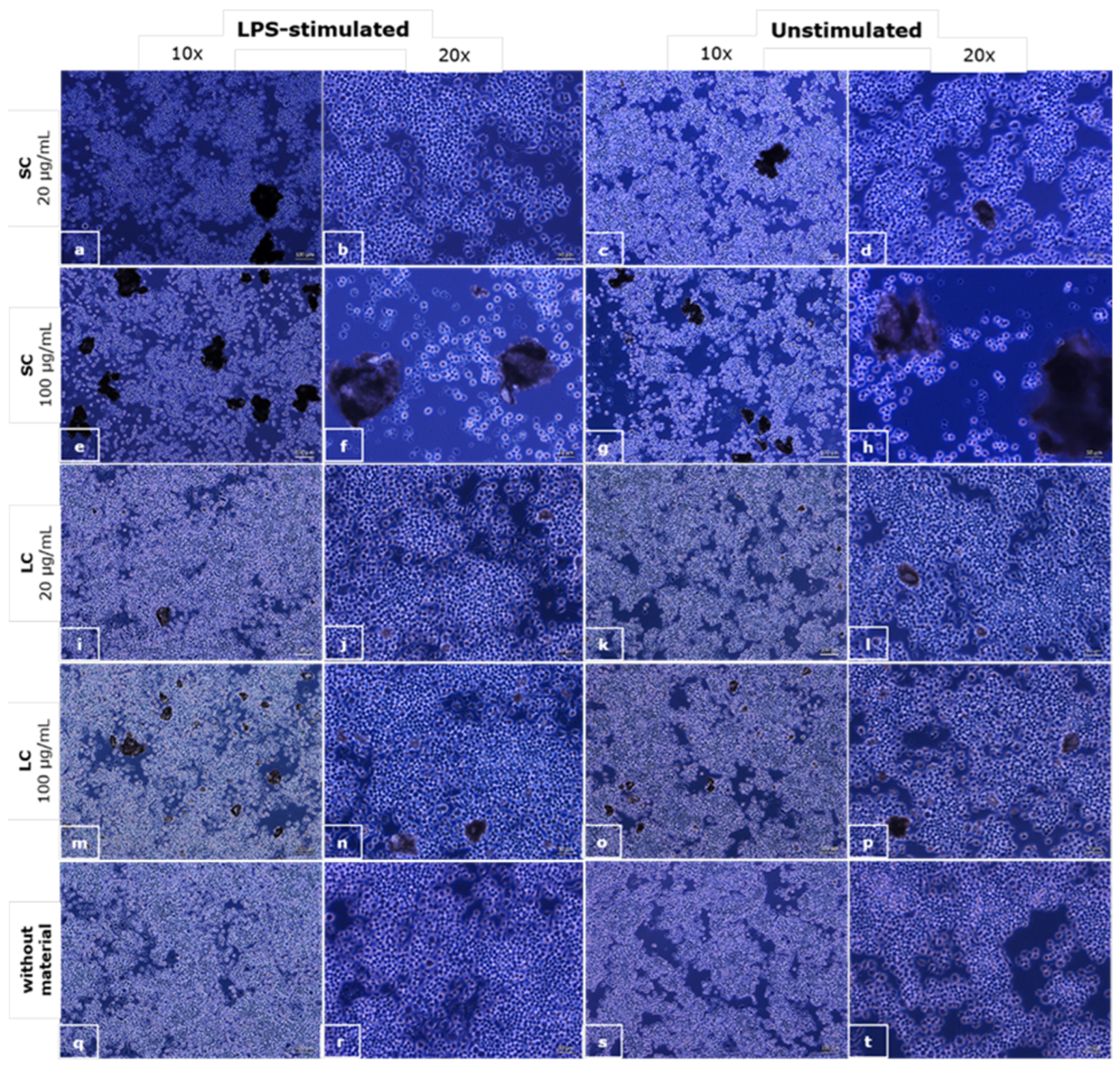 Polymers 14 04998 g005