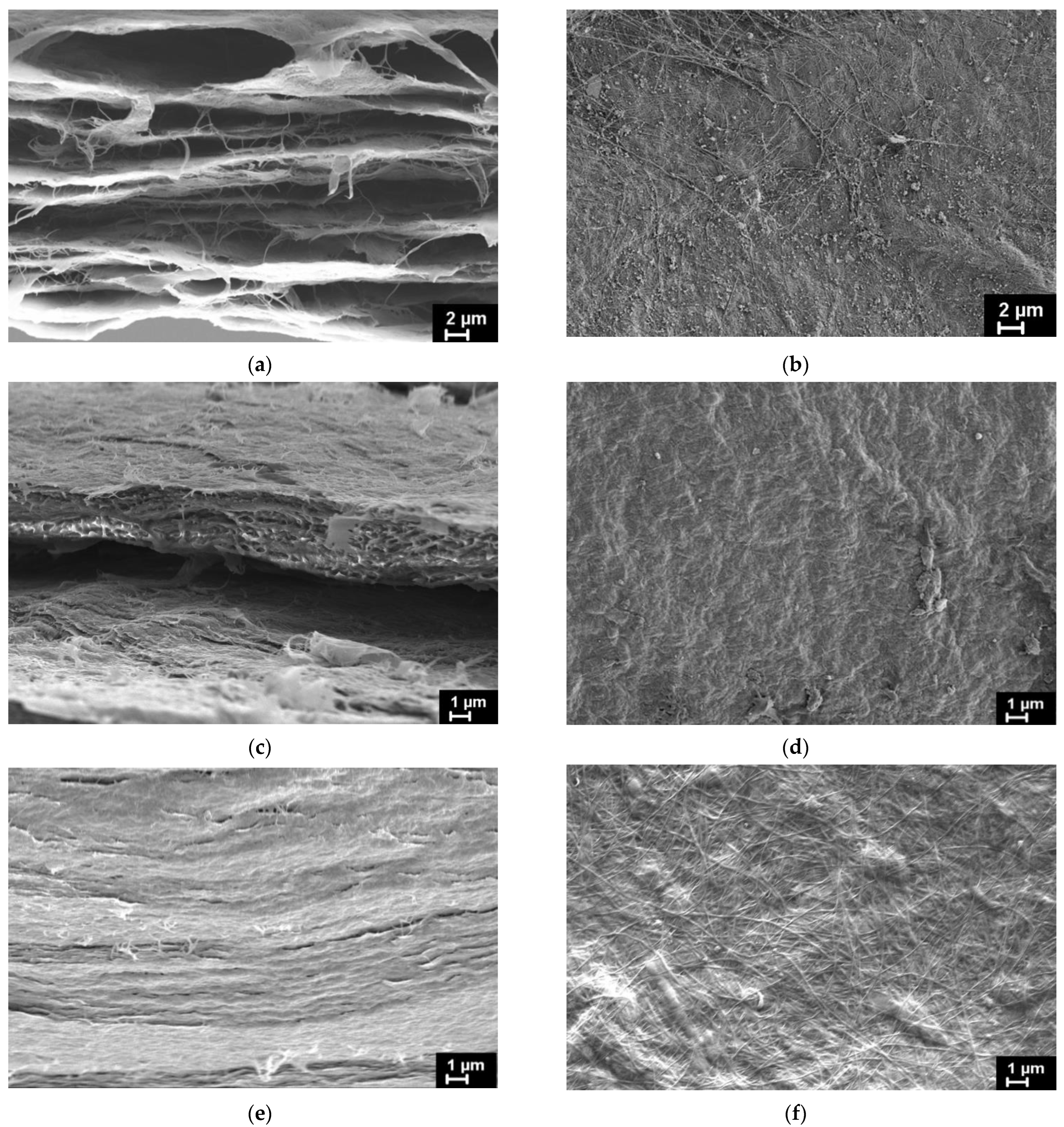 Polymers 14 05001 g003