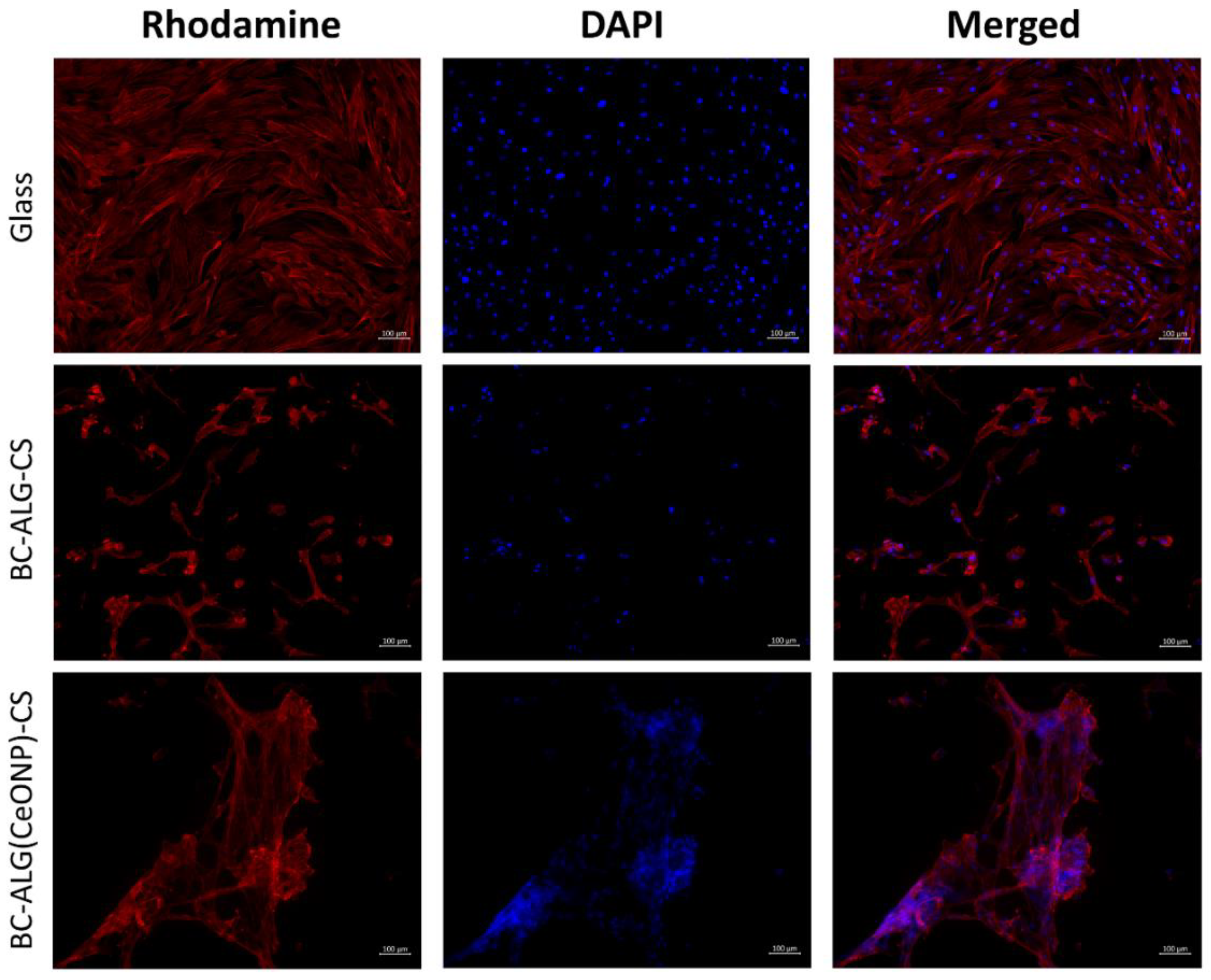Polymers 14 05001 g009