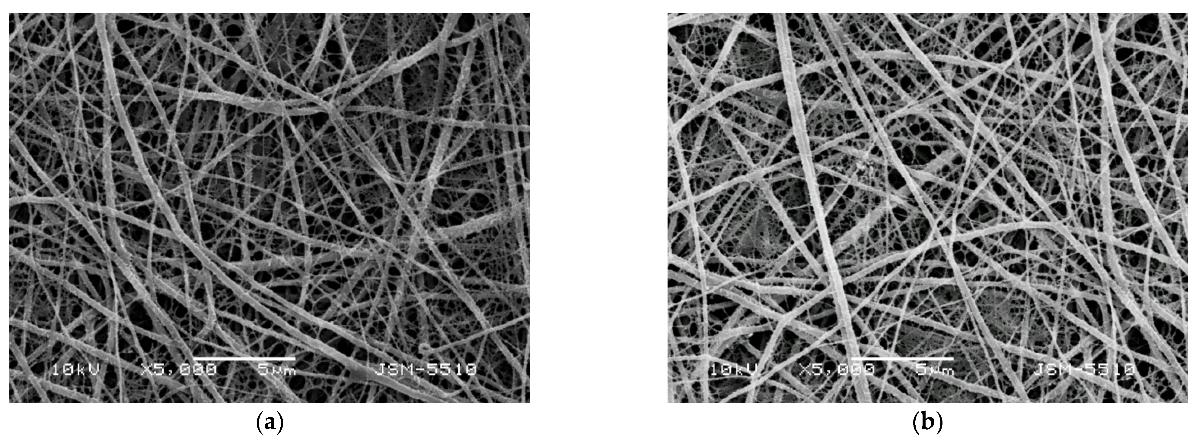 Polymers 14 05002 g002