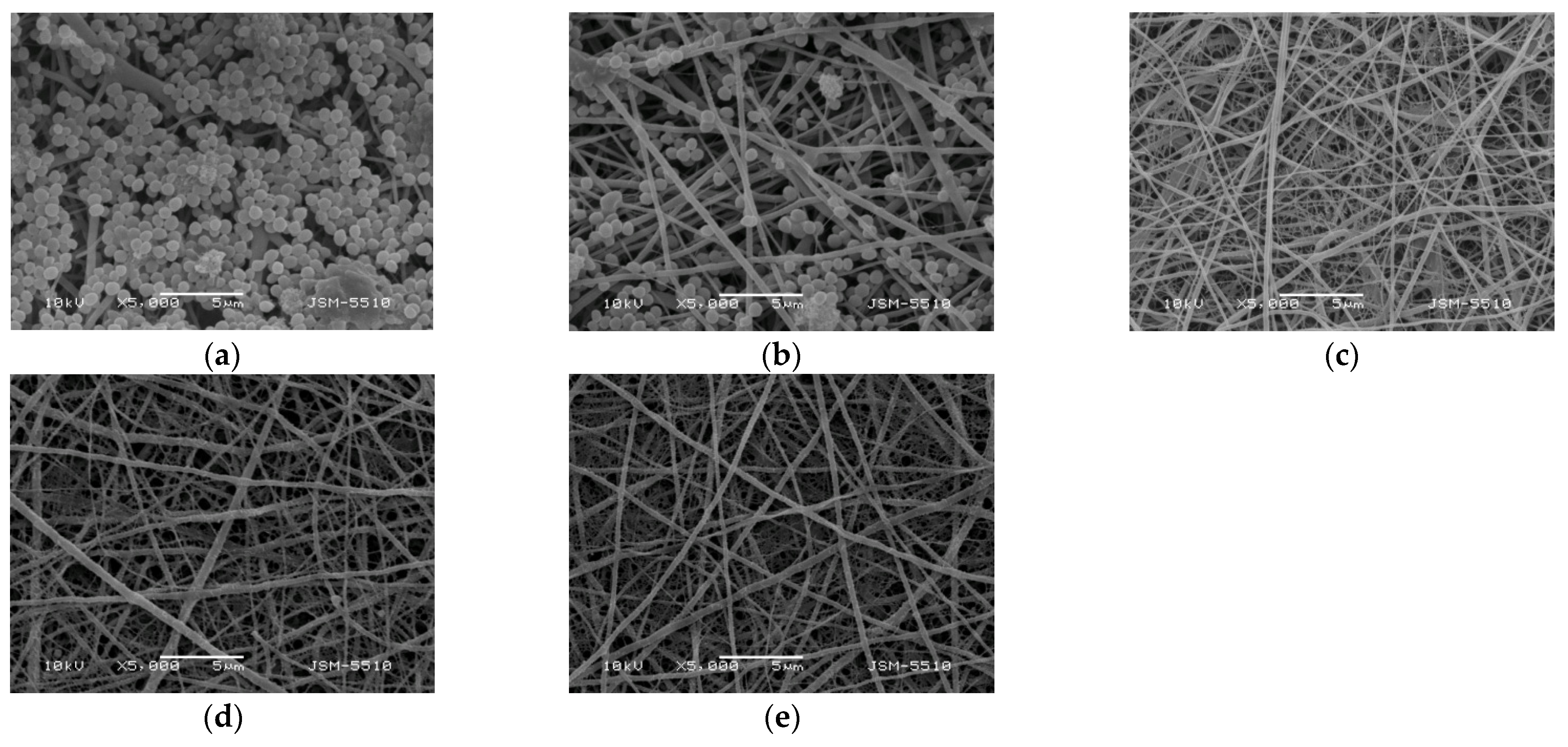 Polymers 14 05002 g010