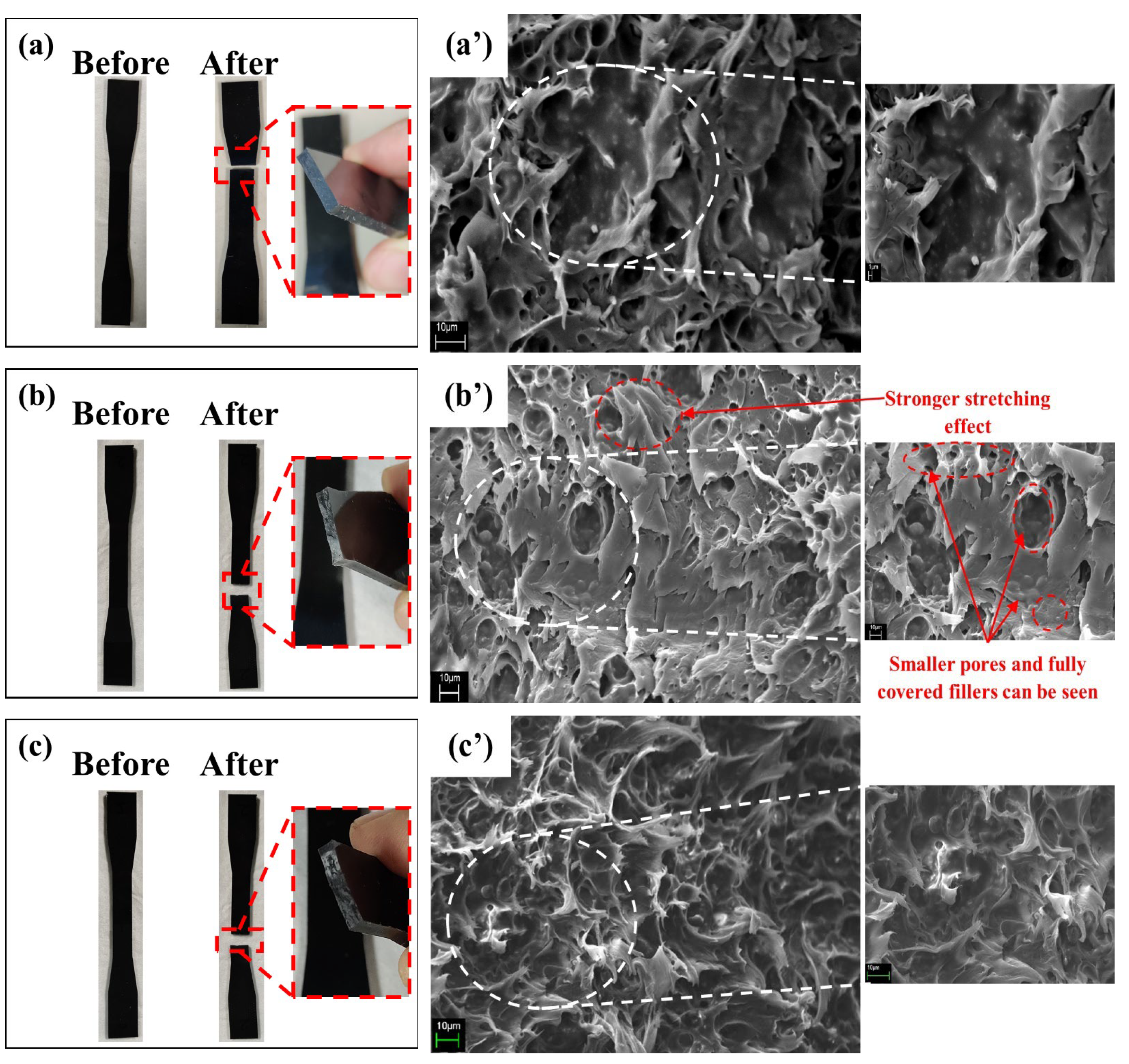 Polymers 14 05009 g004