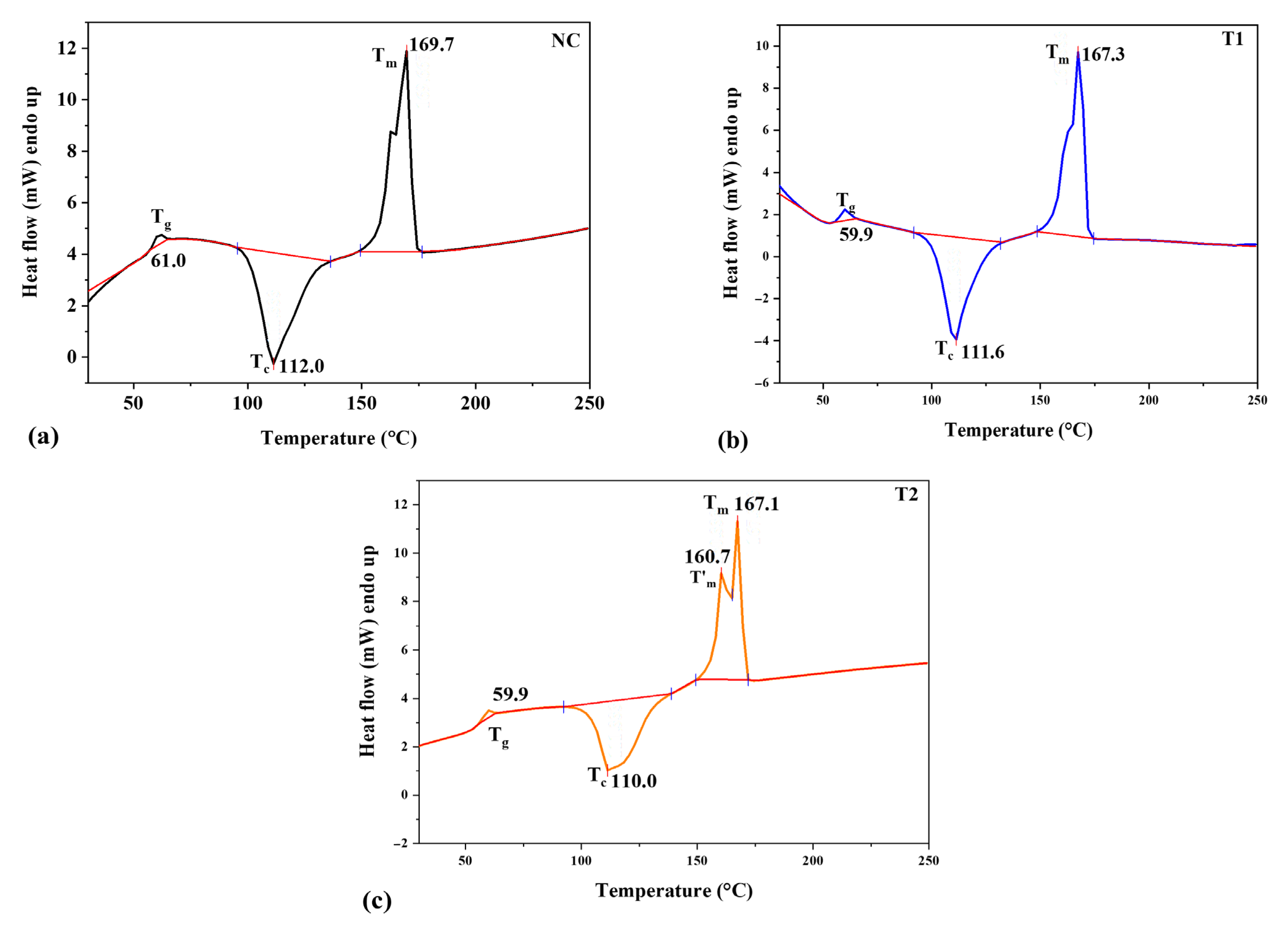 Polymers 14 05009 g007